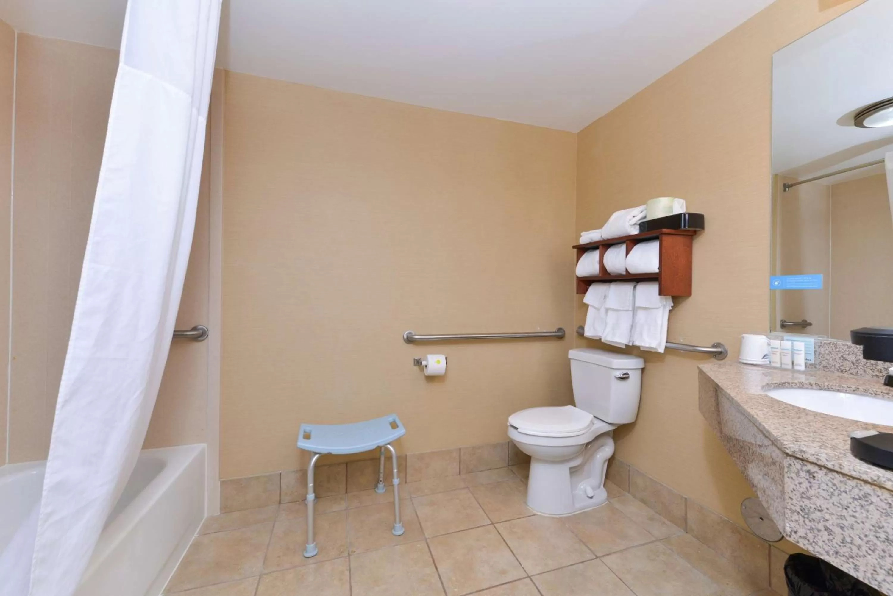 Bathroom in Hampton Inn Columbus-East