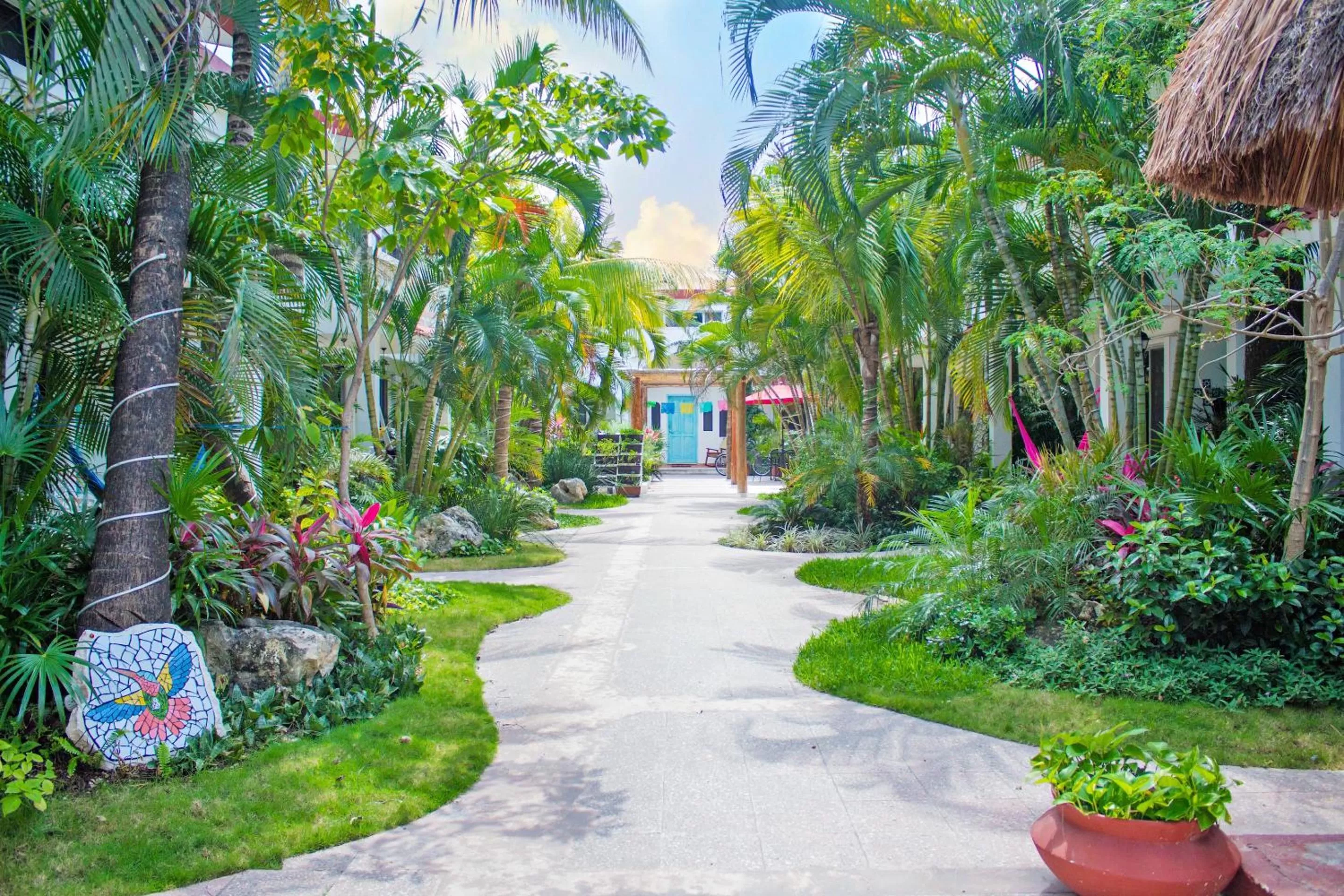 Day in Hotel Villas Colibrí Suites & Bungalows