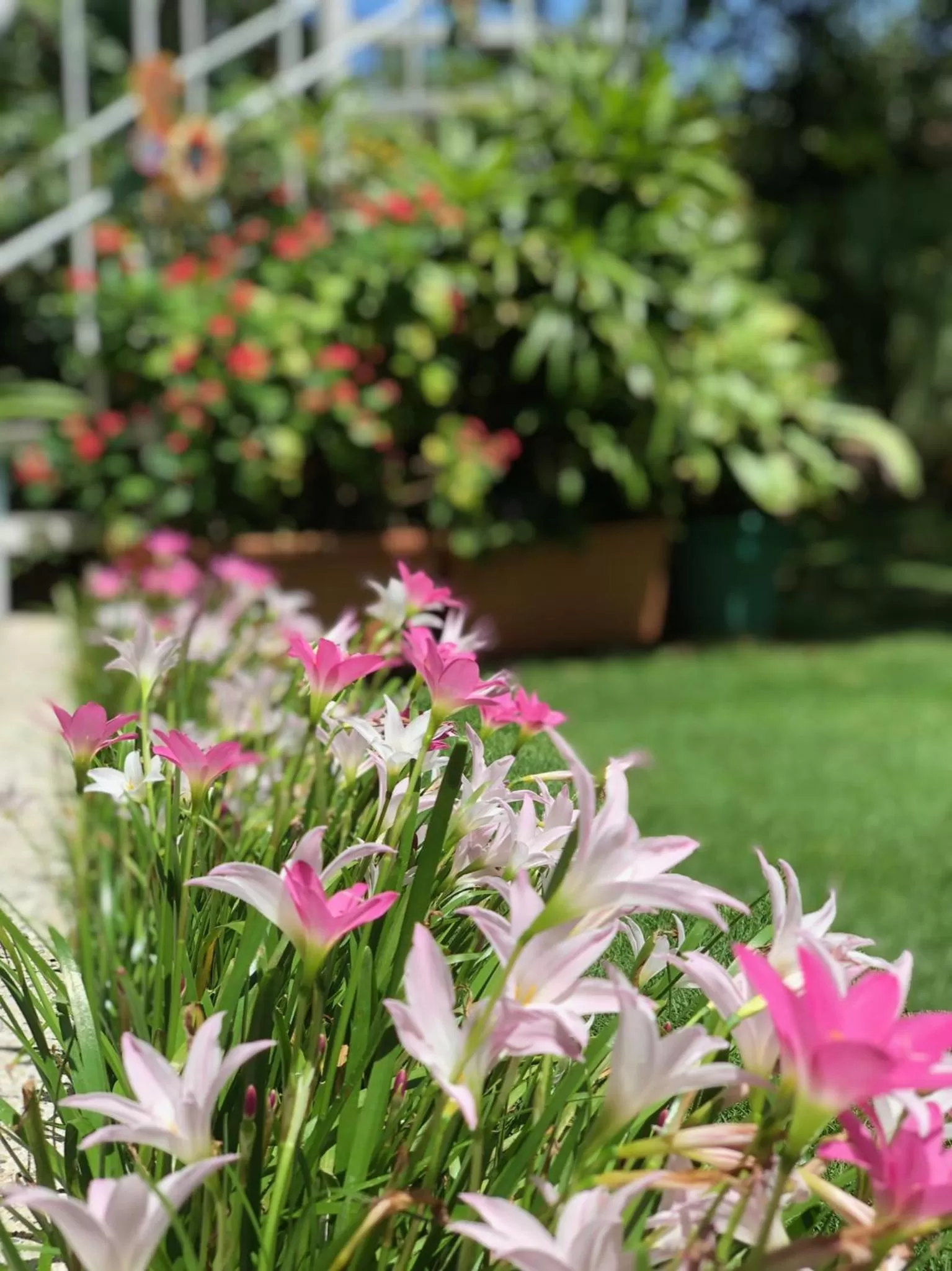 Patio in Posada Nativa Bernard Place