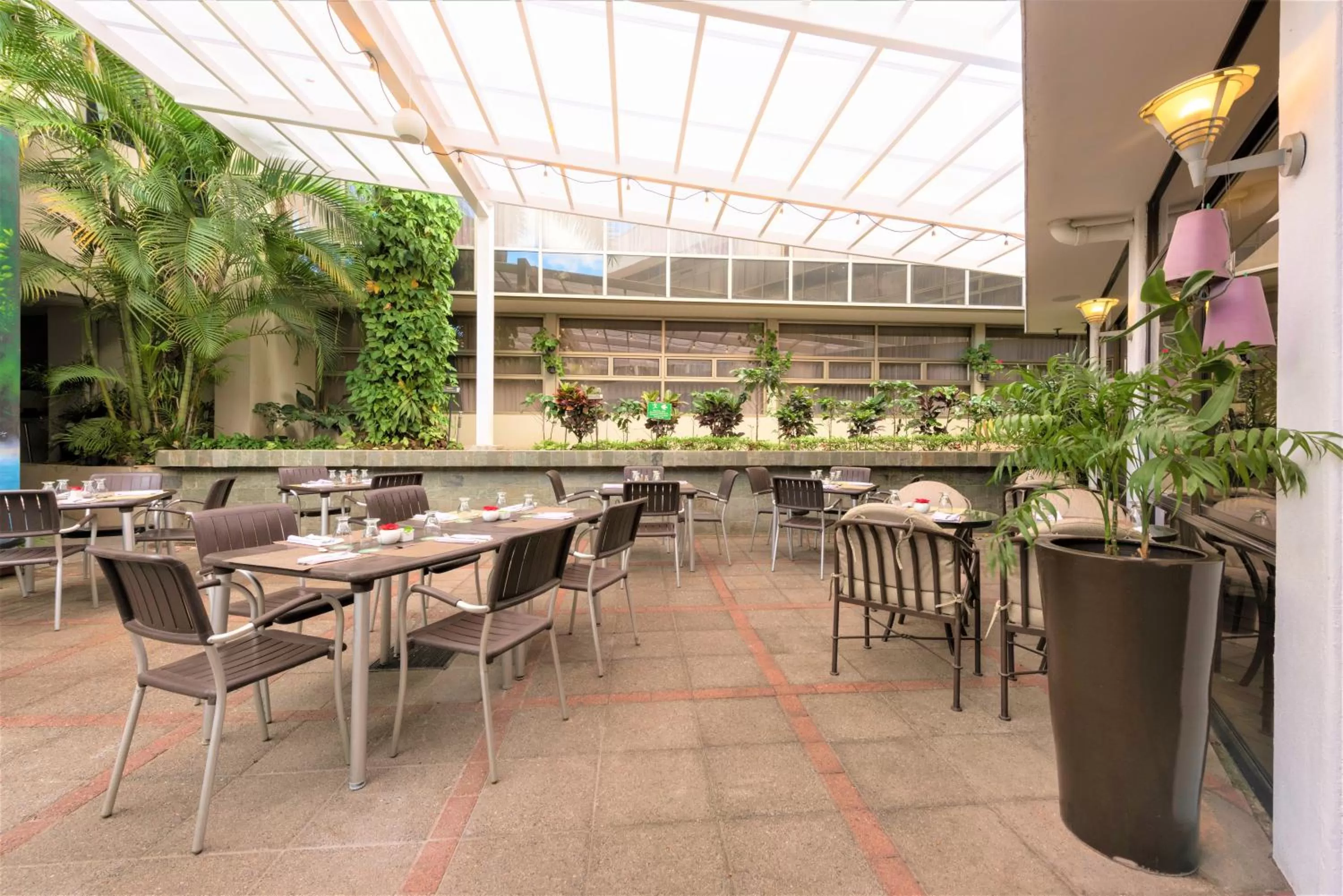 Restaurant/places to eat in Hotel Palma Real