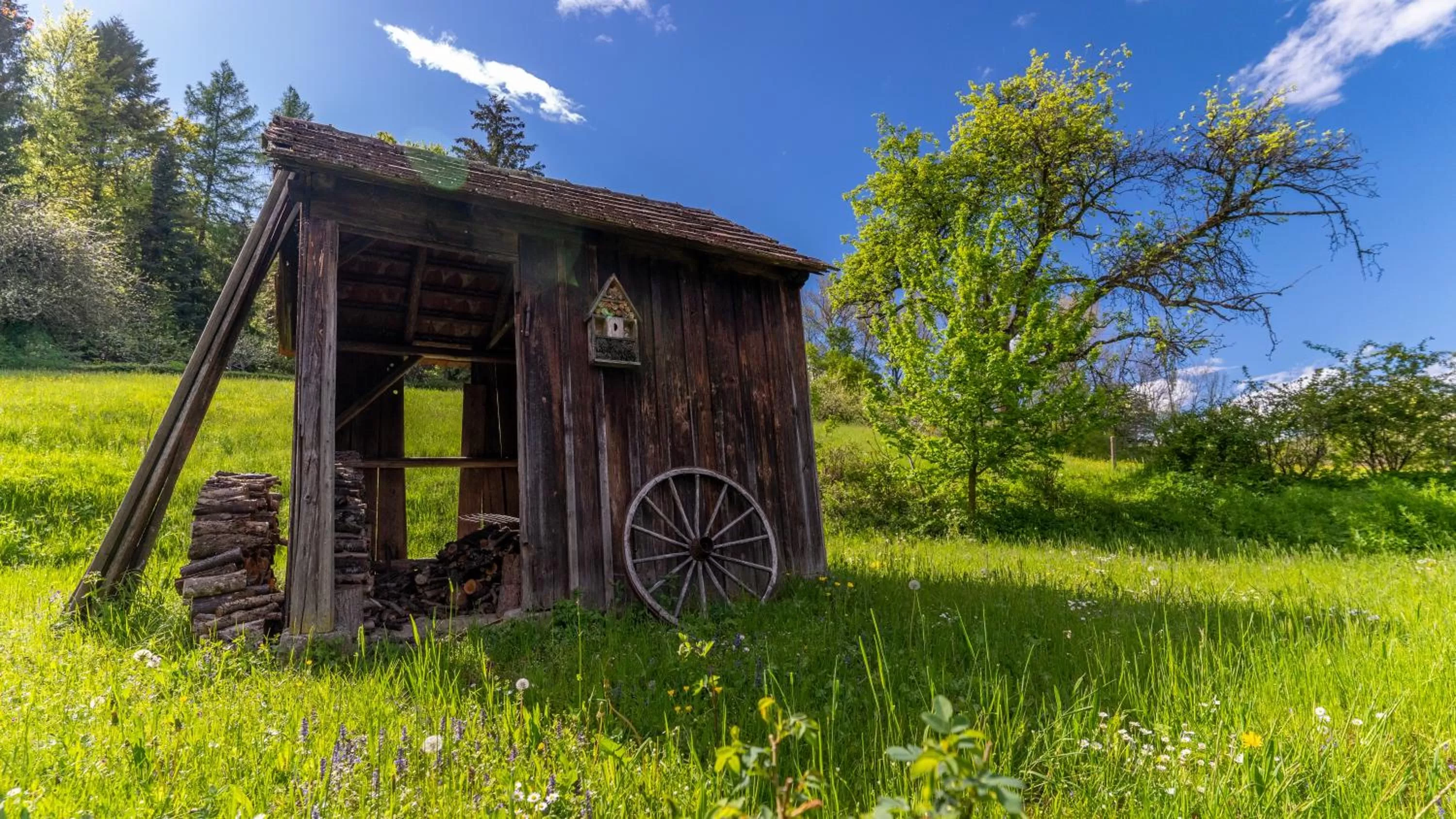 Hiking in Hotel Rosenstein