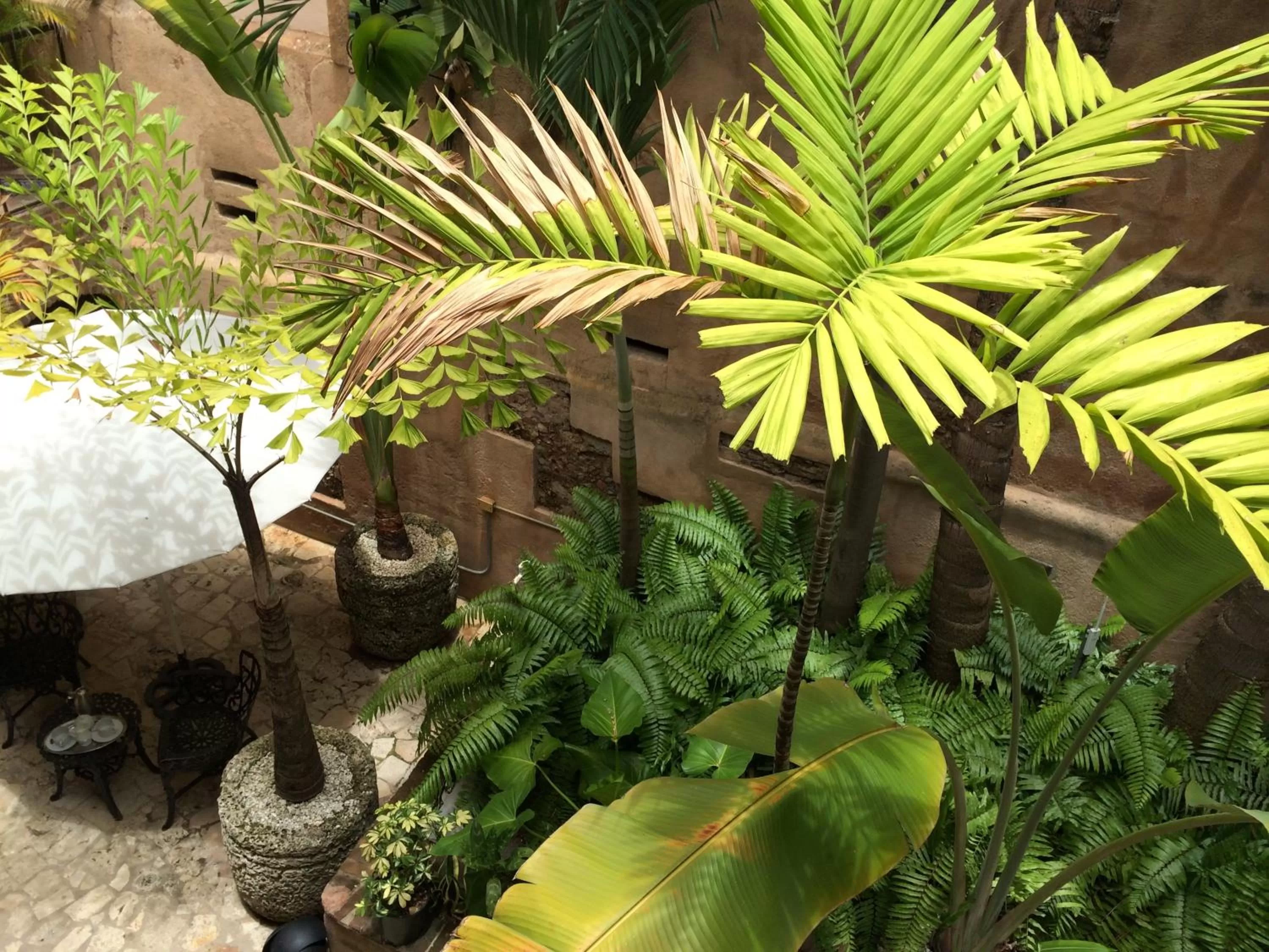 Day in El Beaterio Casa Museo