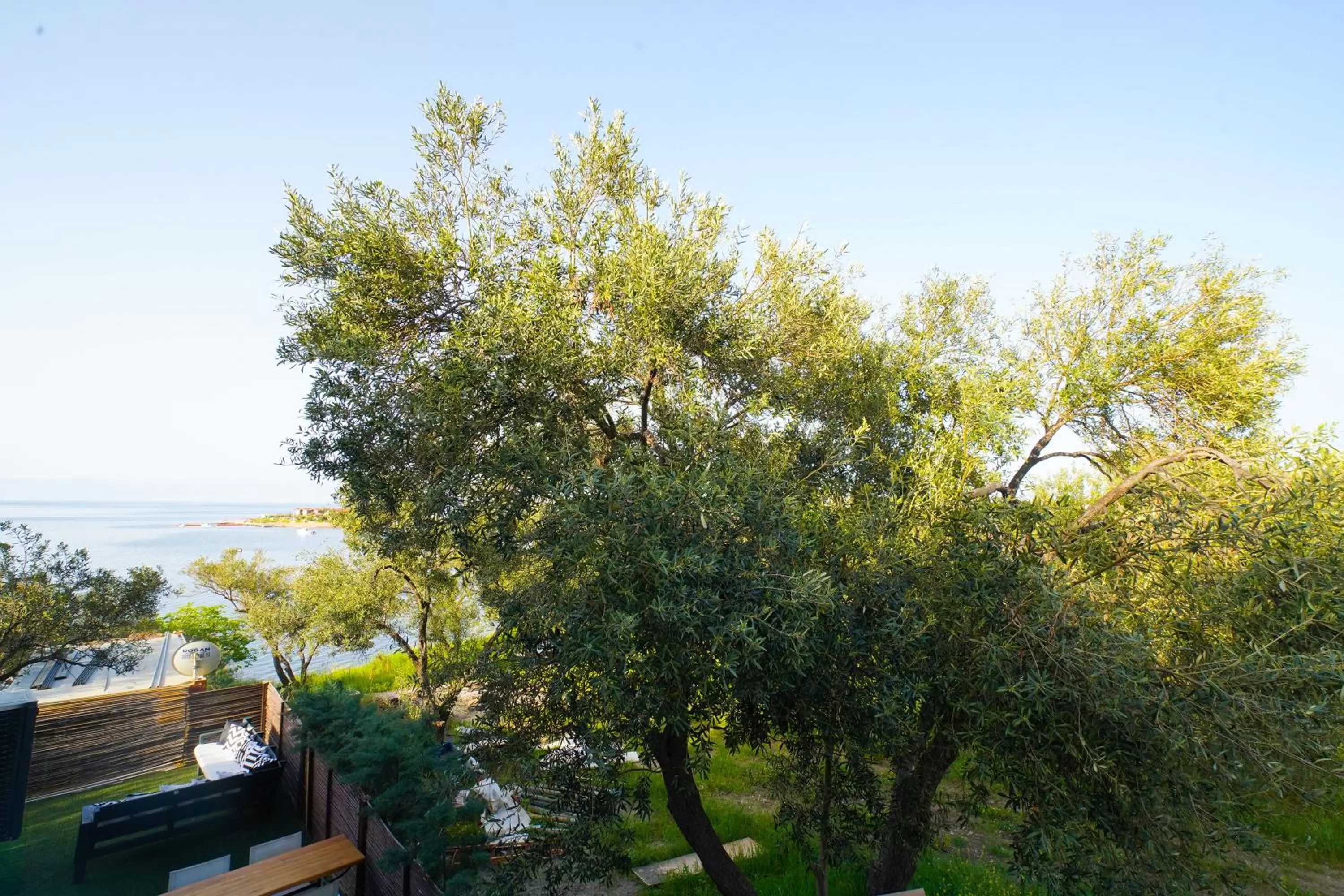 Garden view in QCUNDA OTEL