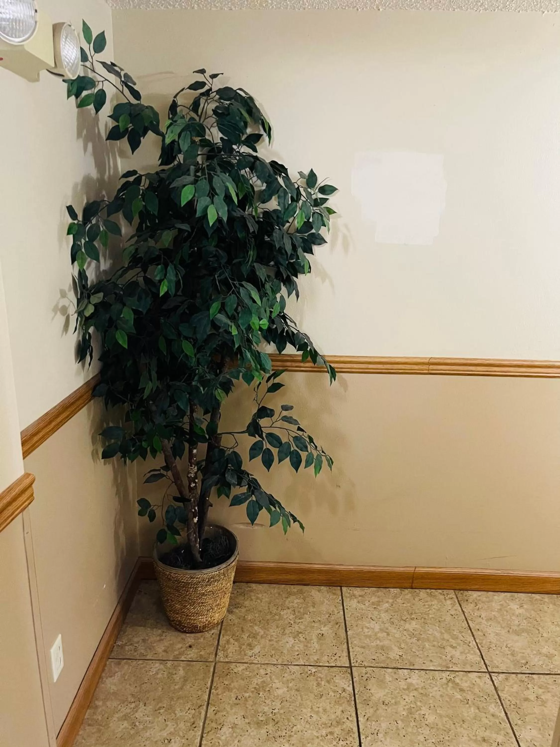 Decorative detail in Super 8 by Wyndham Clear Lake