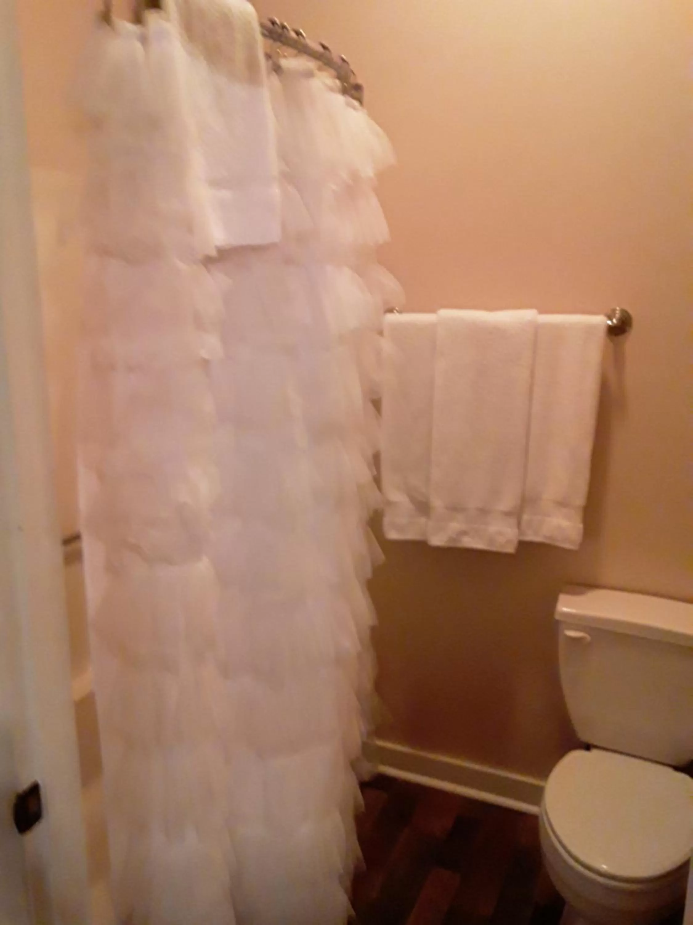 Toilet, Bathroom in Hall Place B&B