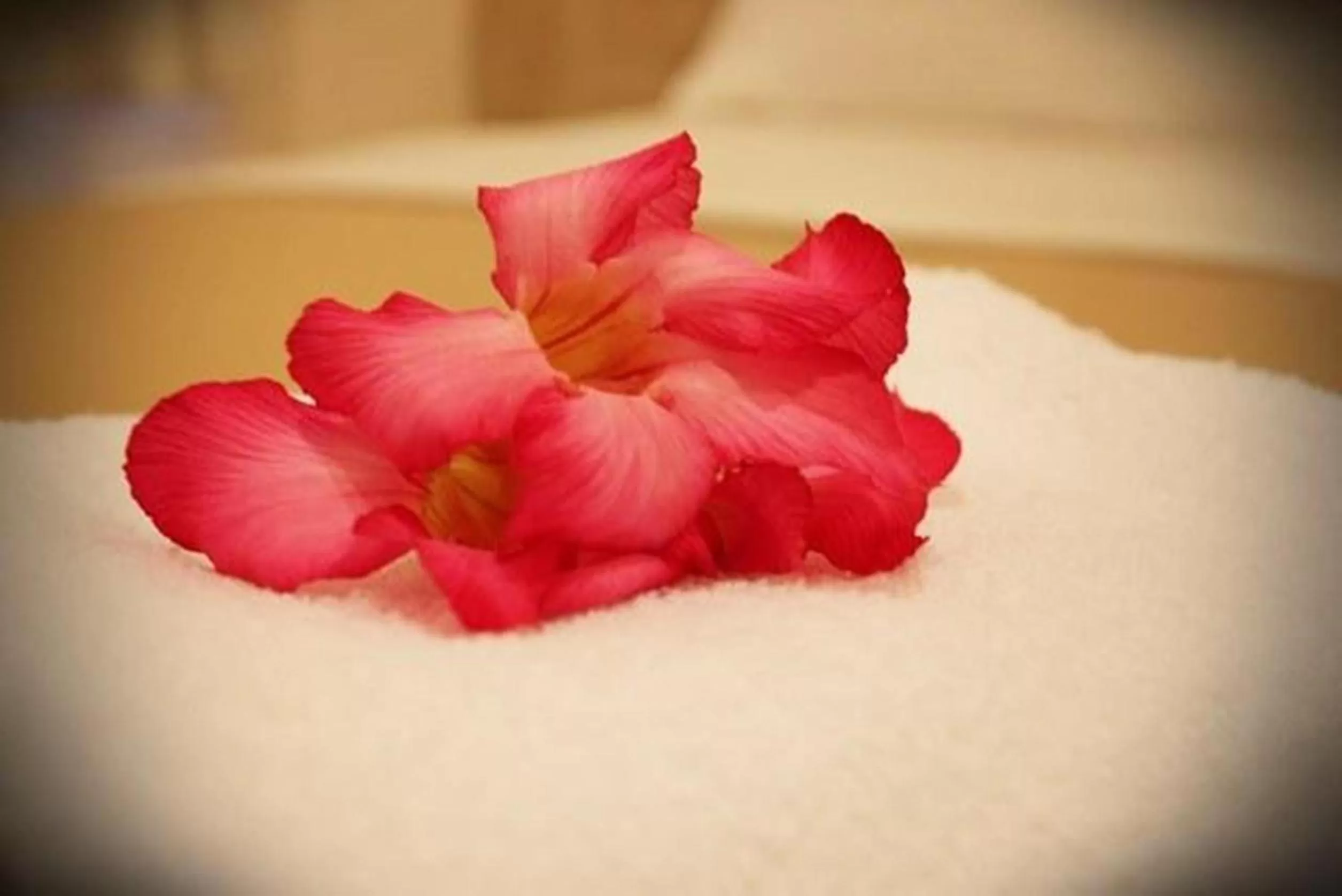 Decorative detail in Hotel Seri Nilai