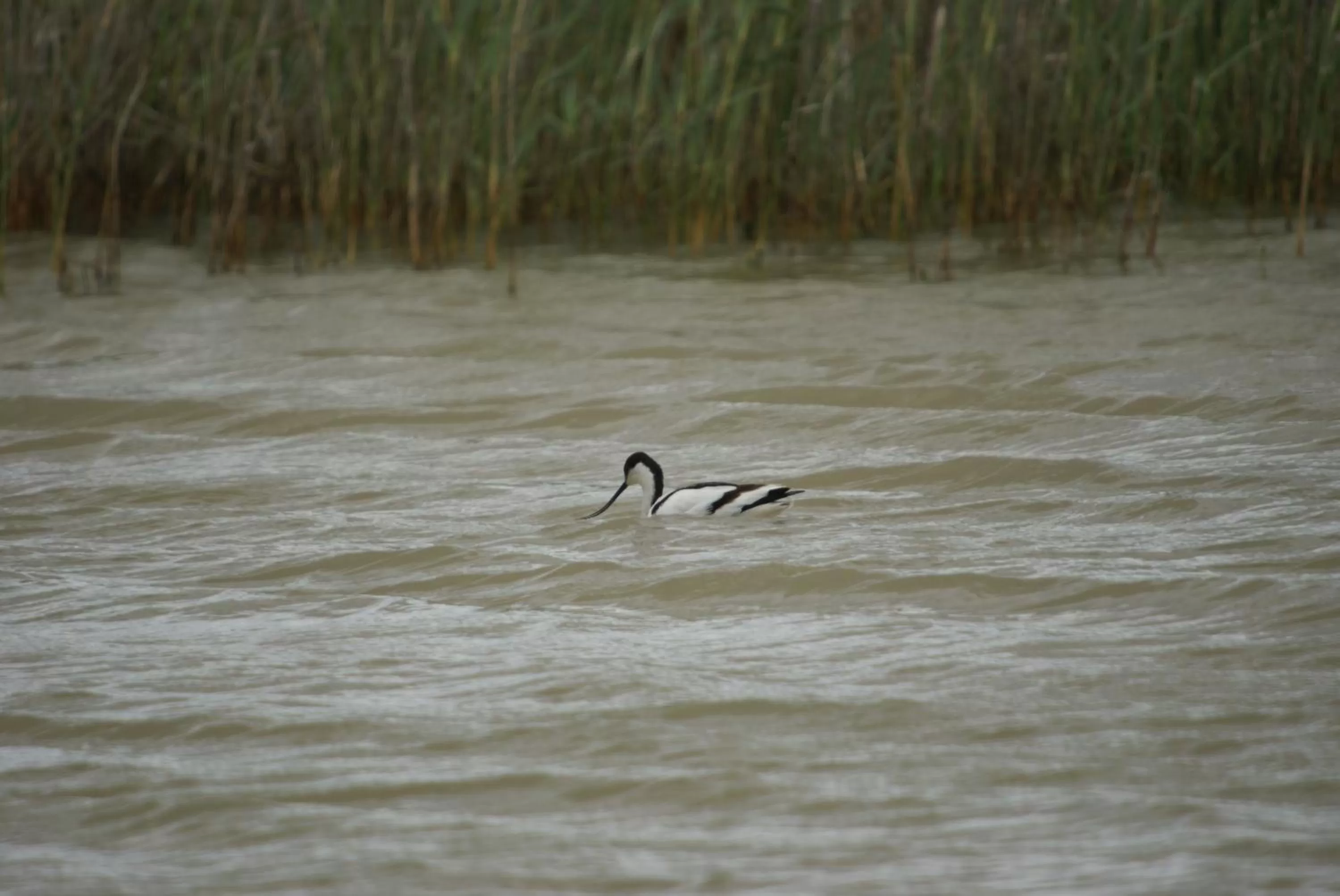 Activities in Finca El Romeral