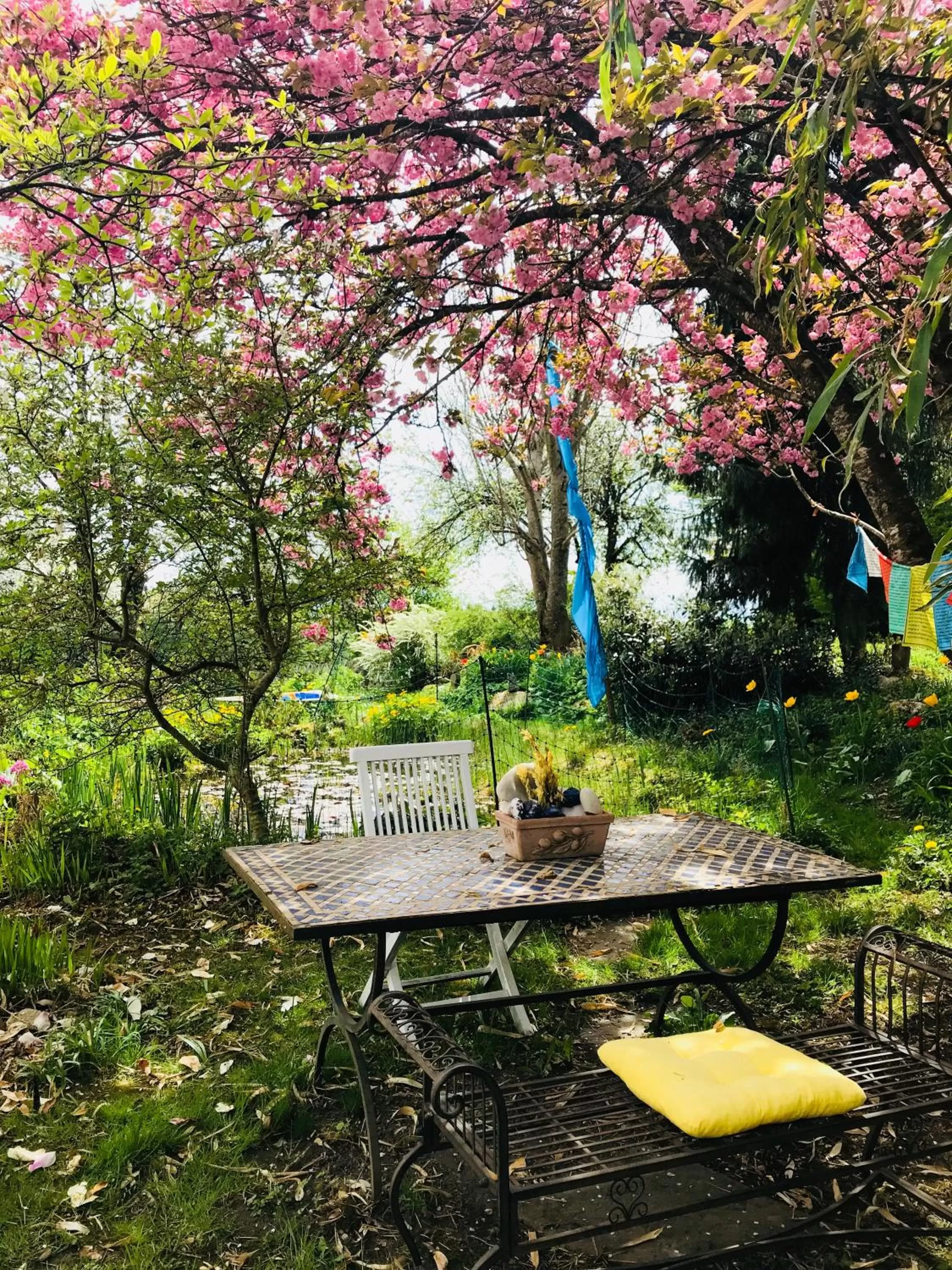 Garden in Bed and Breakfast Bavaria München