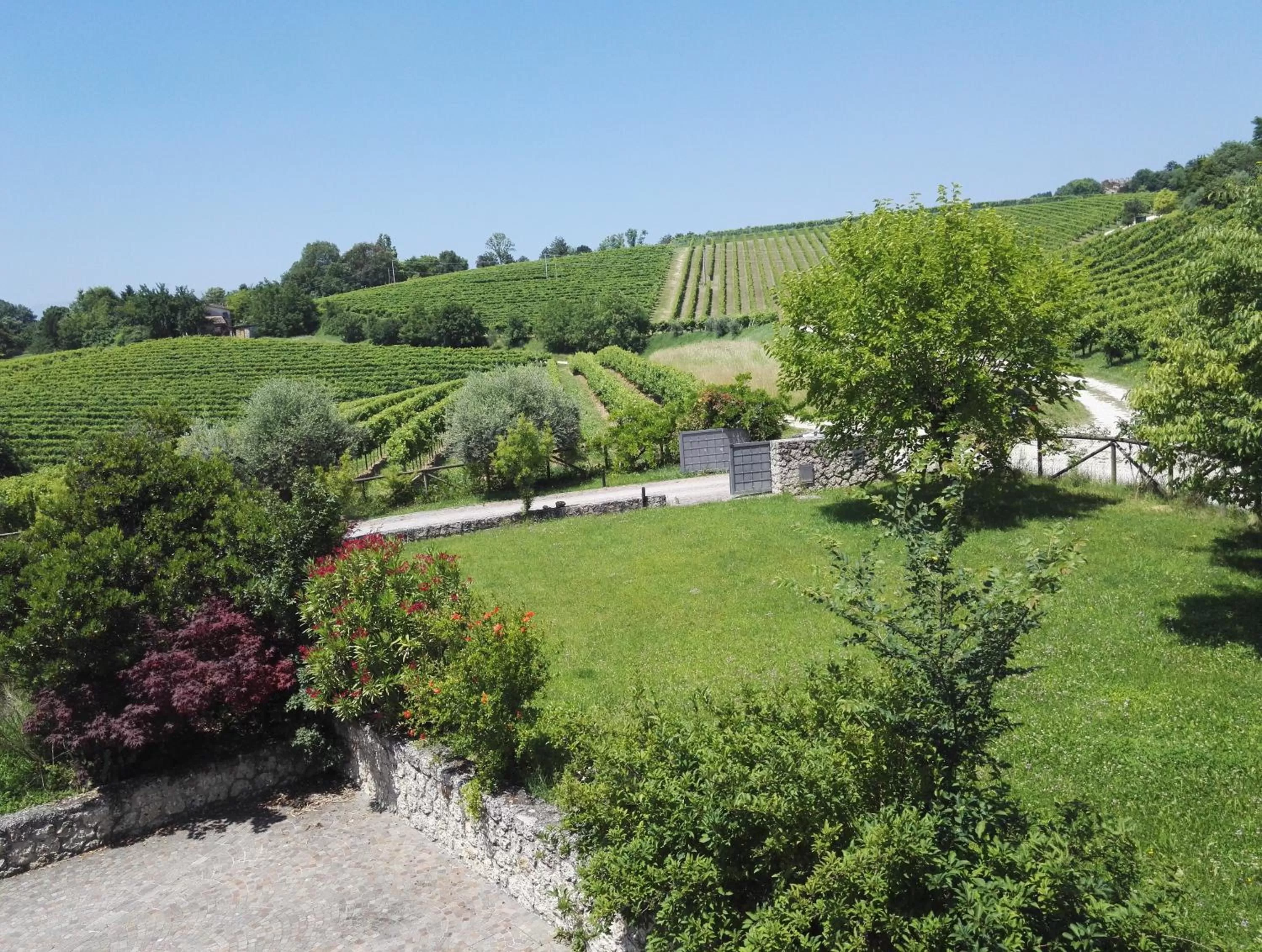 Garden in Il giuggiolo