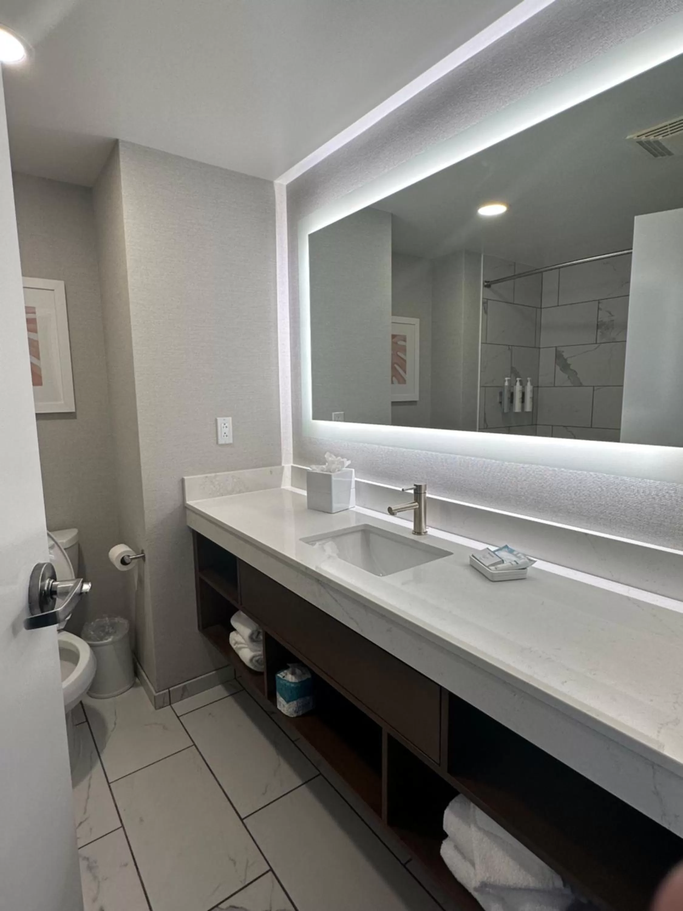 Toilet in Hampton Inn Virginia Beach-Oceanfront South