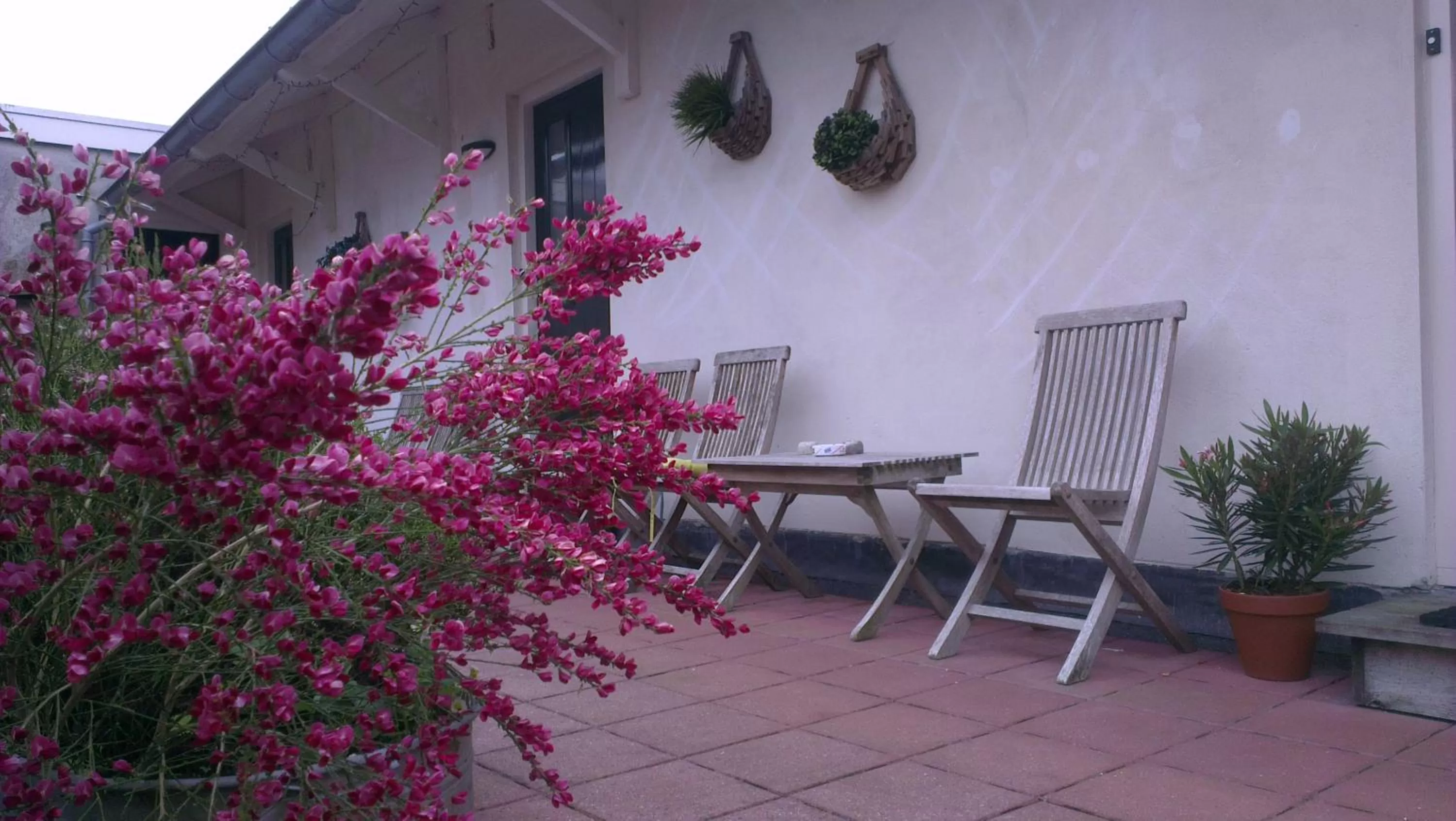 Balcony/Terrace in Logement 'De witte klok'