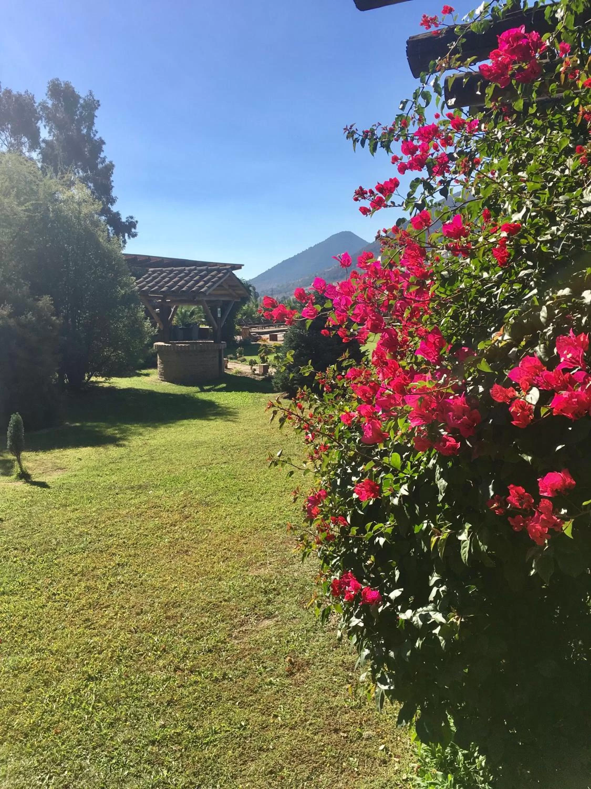 Patio in Hotel Casa De Campo