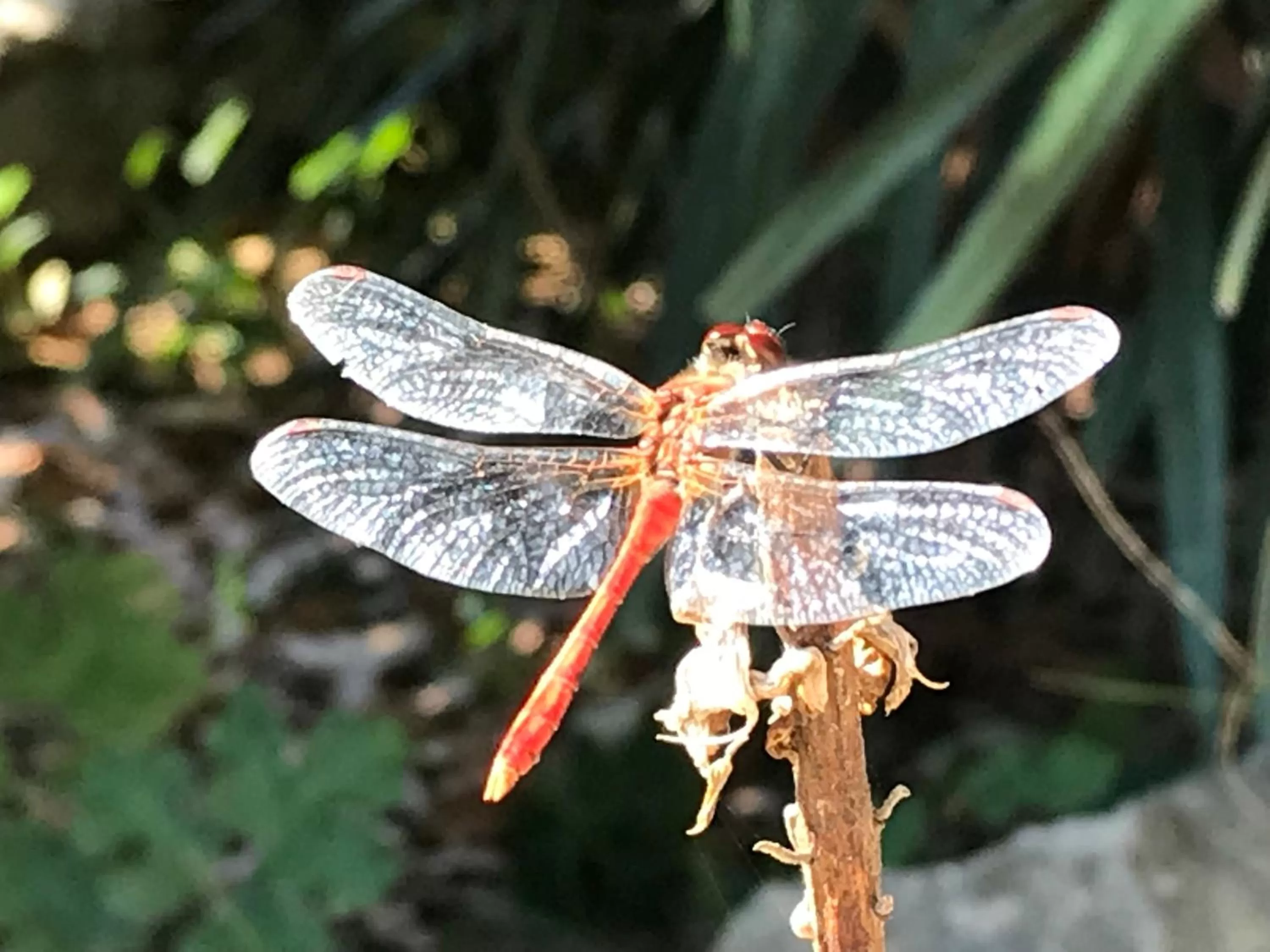 Natural landscape in LE DOMAINE DE GORNETON