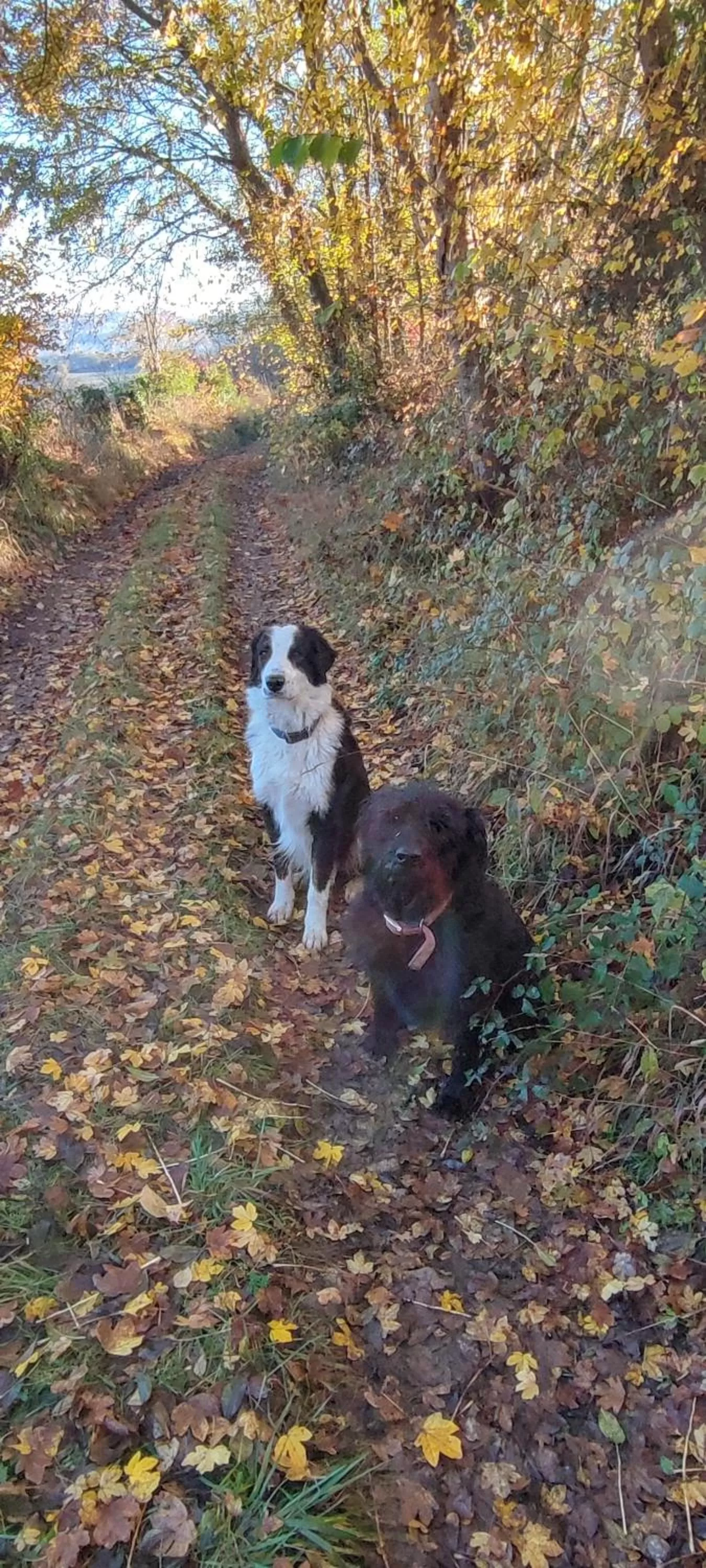 Domaine Le Lanis Chambre d'hôtes avec spa sur réservation