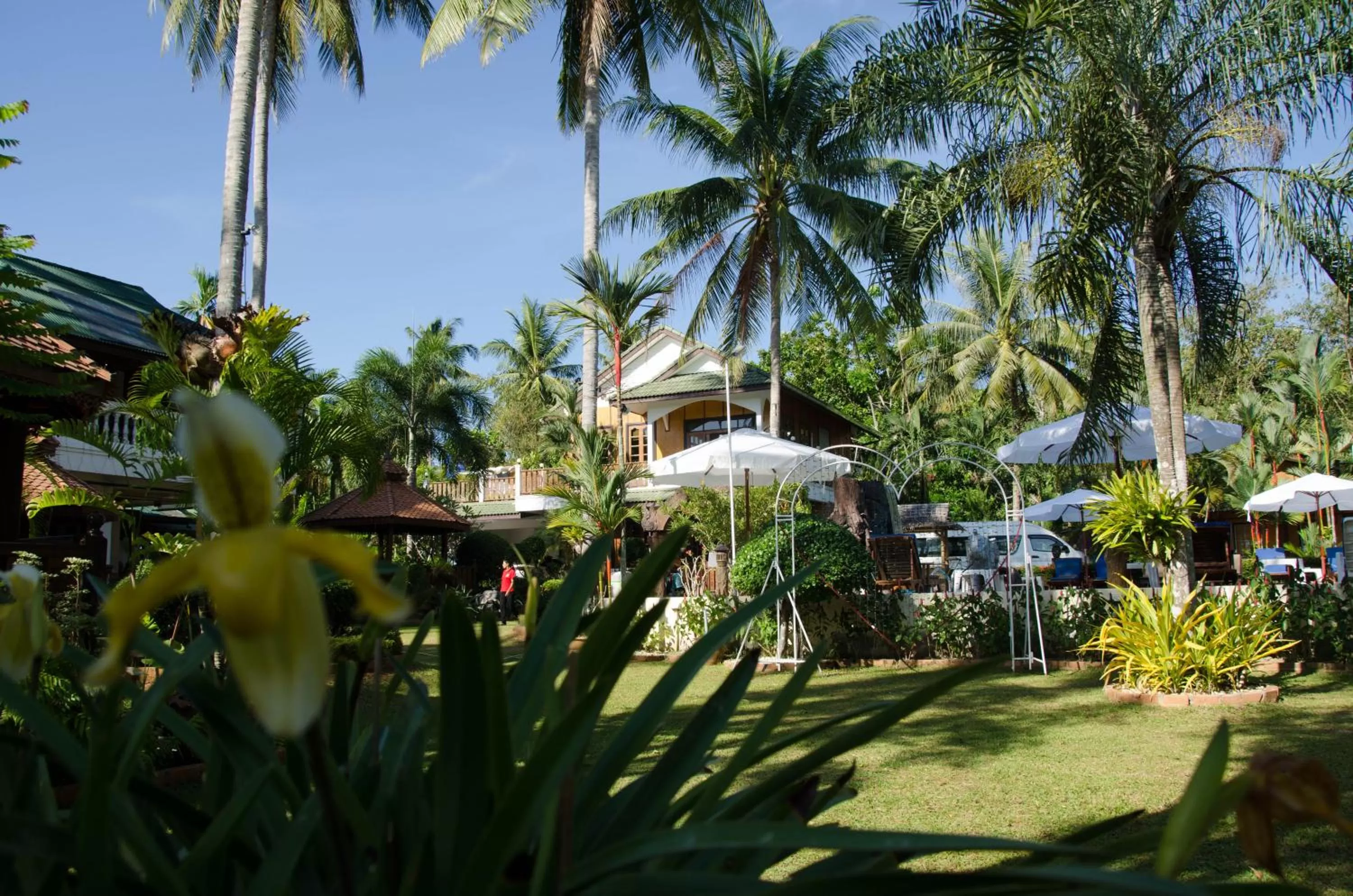 Property building in Jungle Village Bungalow