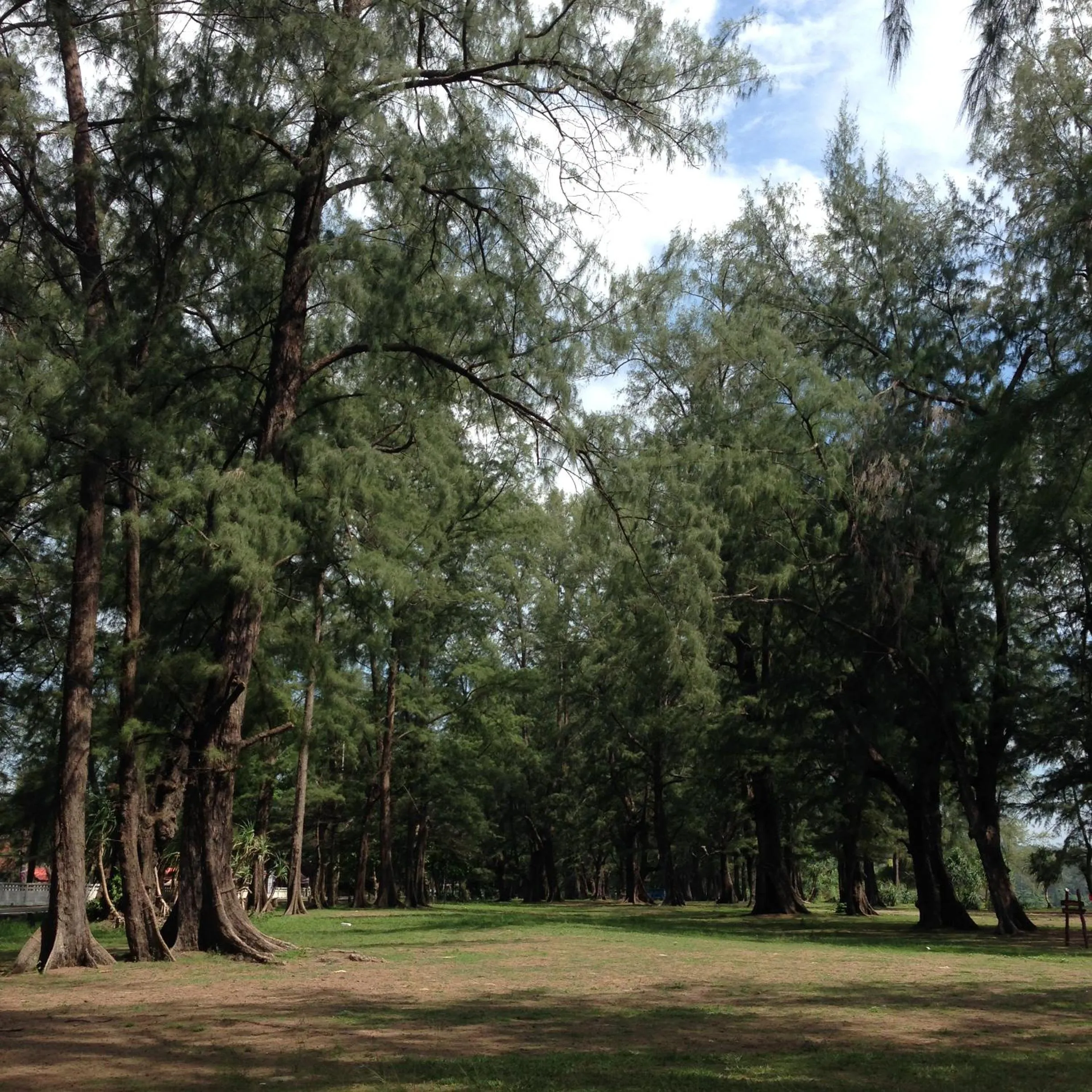 Nearby landmark in L'esprit De Naiyang Beach Resort - SHA Extra Plus