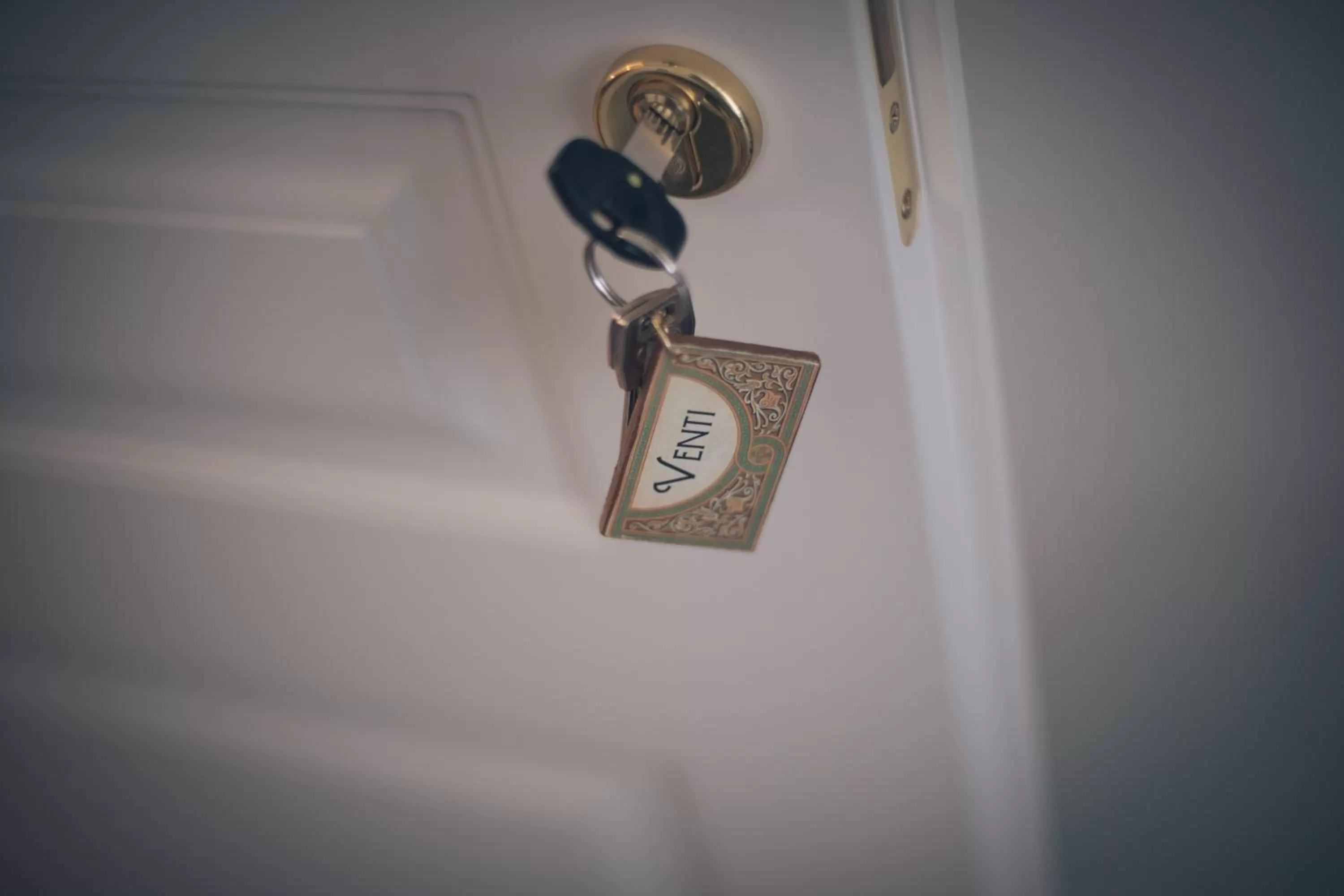 Logo/Certificate/Sign in Novecento