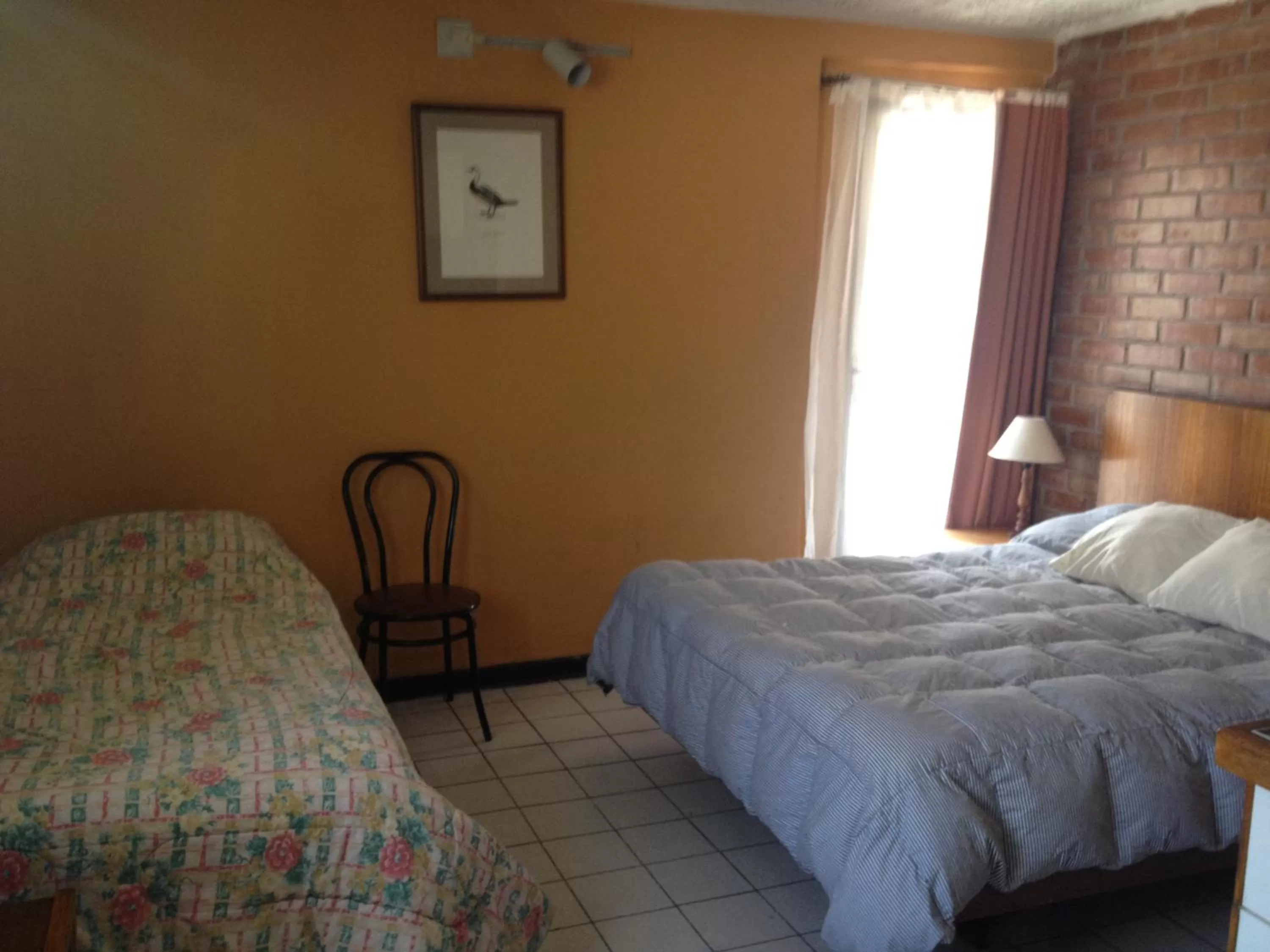 Photo of the whole room in Aparthotel San Francisco