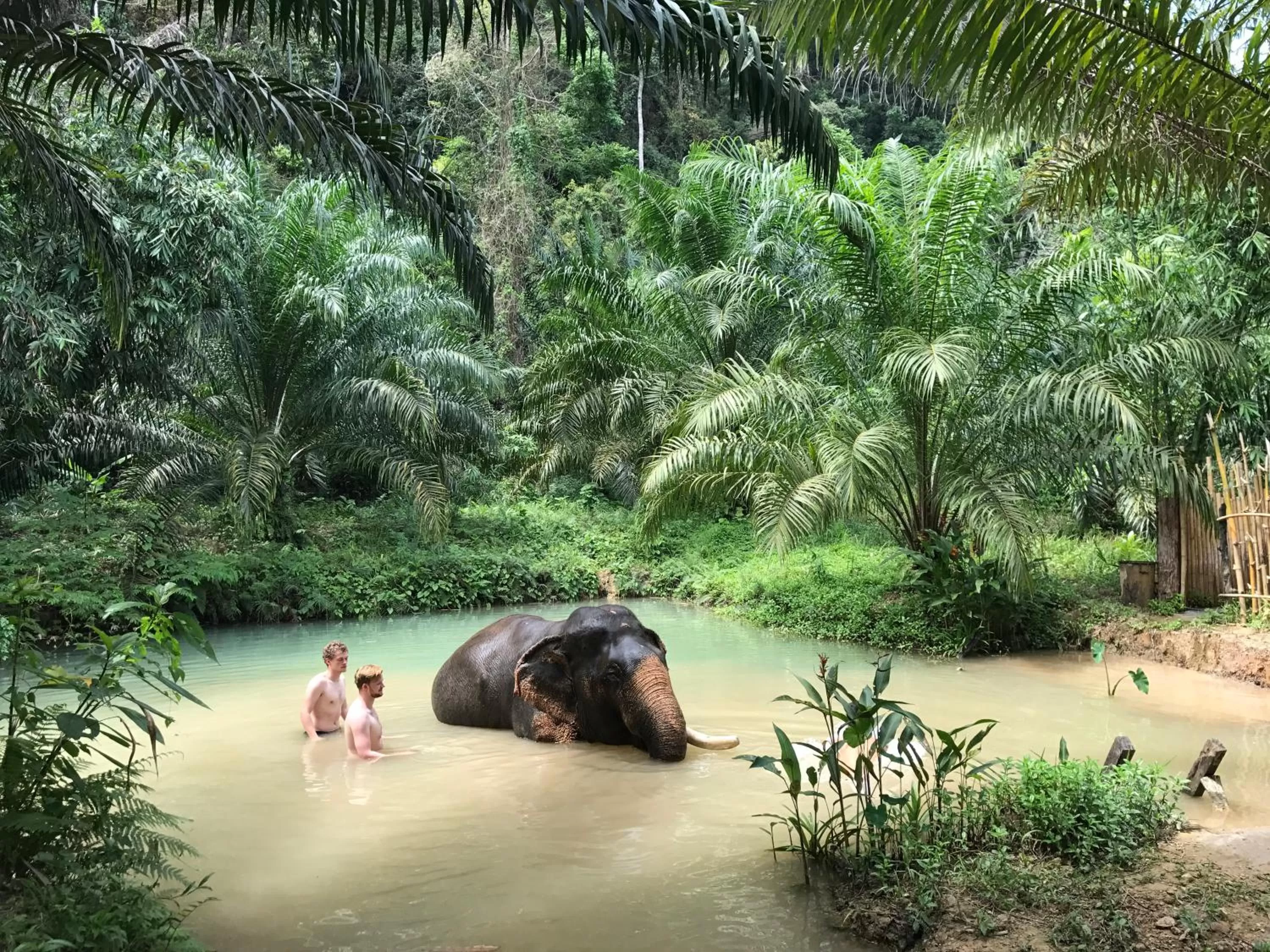 Natural landscape in Khao Sok River Home Resort