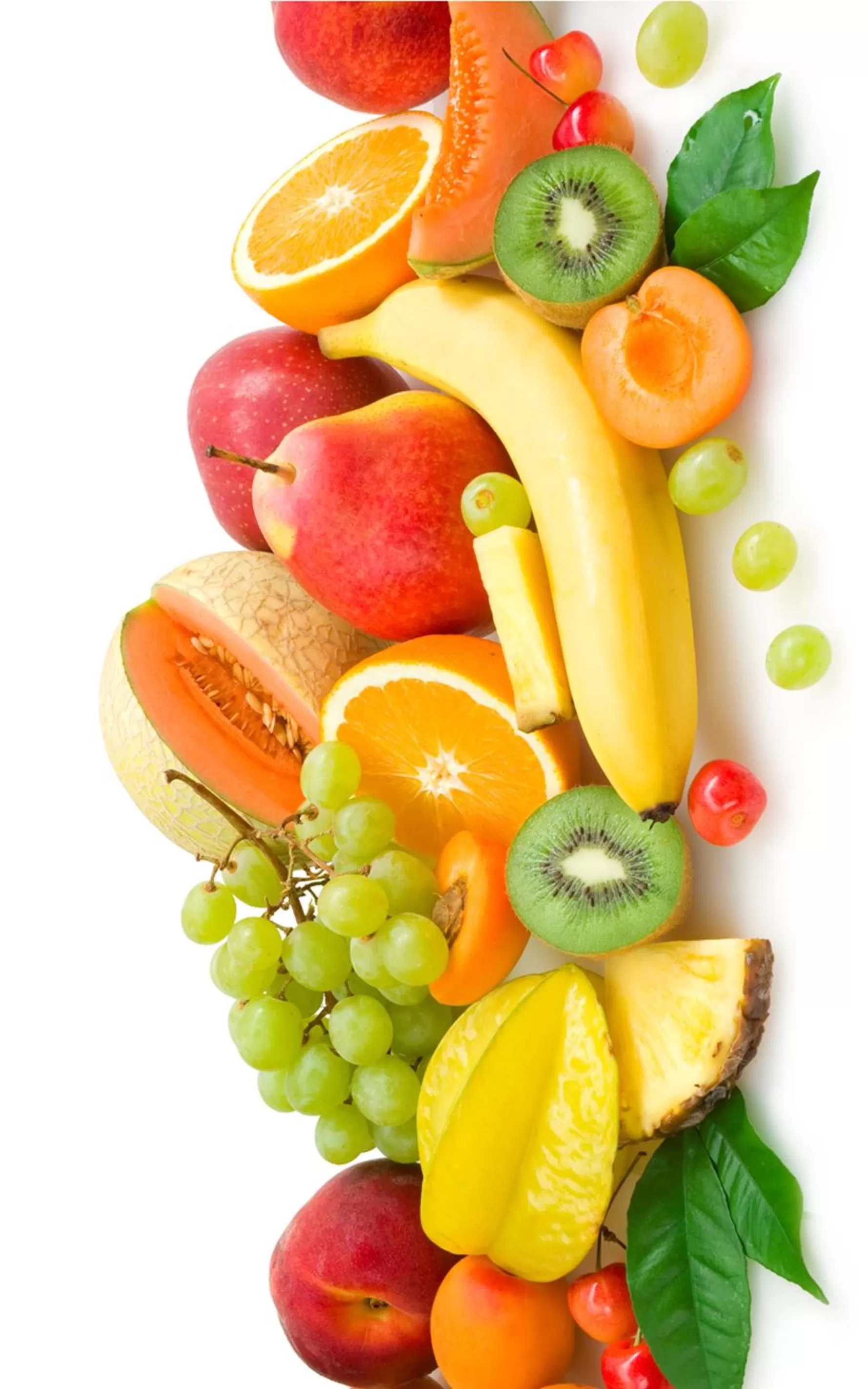 Breakfast in Museum Inn - Una finestra sui Musei Vaticani