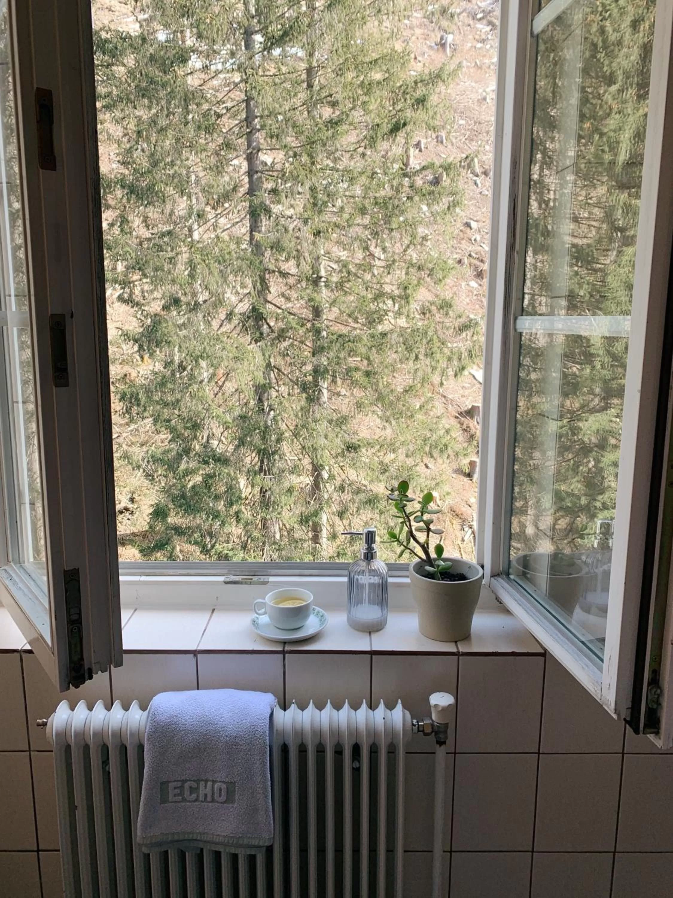 View (from property/room) in Hotel Echo