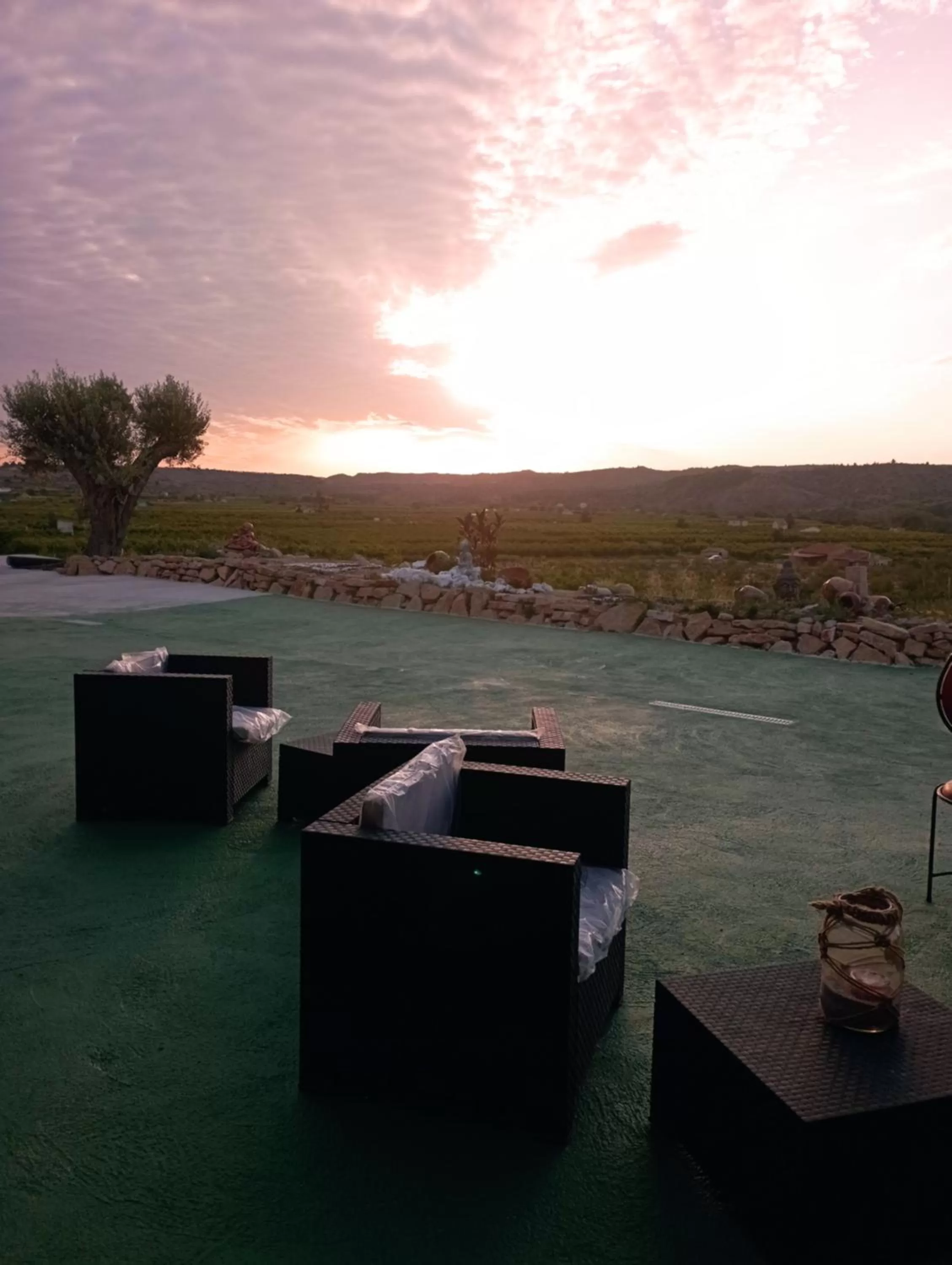 Day in Cabezo Buñuel Hostal