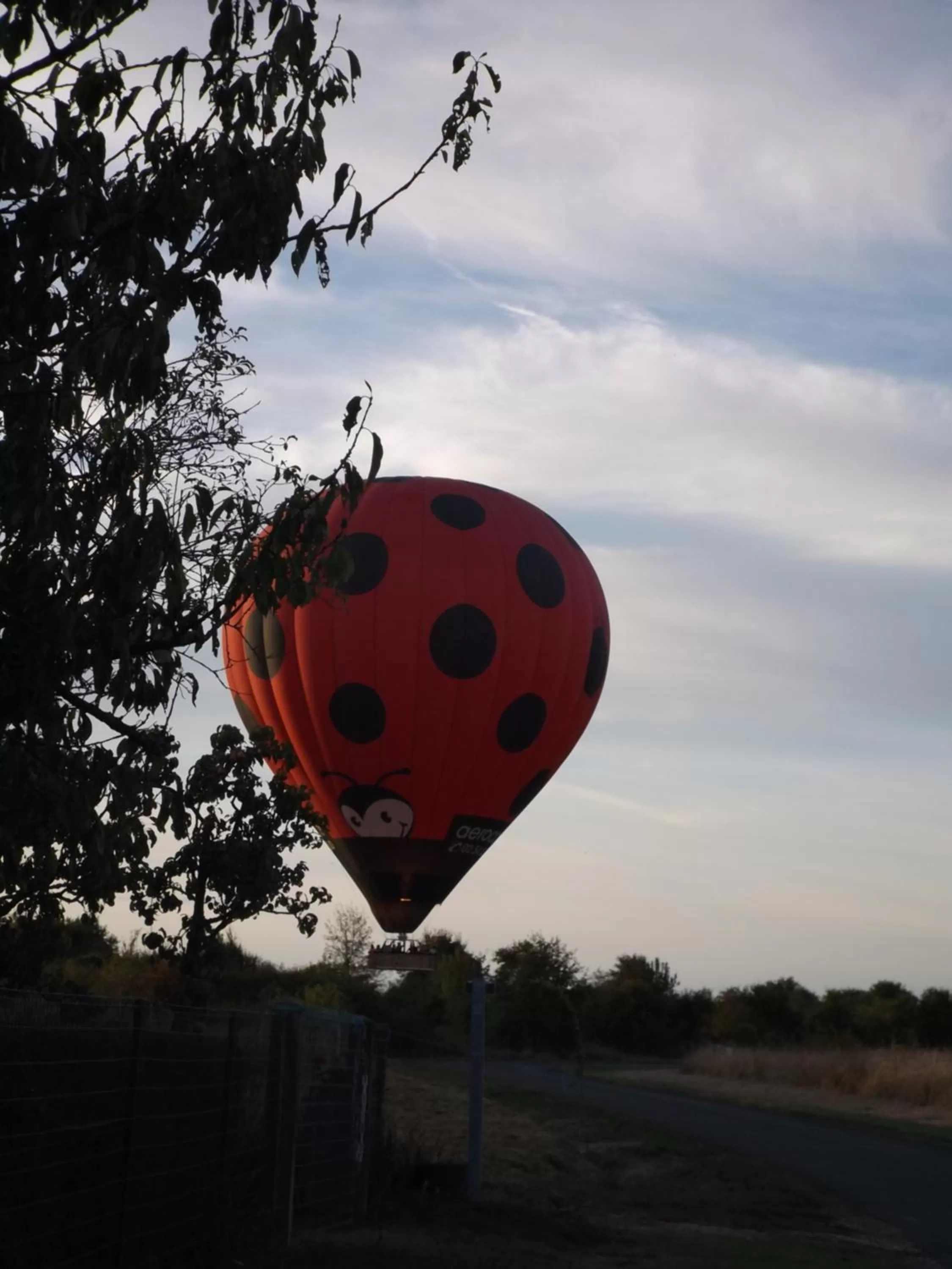 Les Eléphants bleus