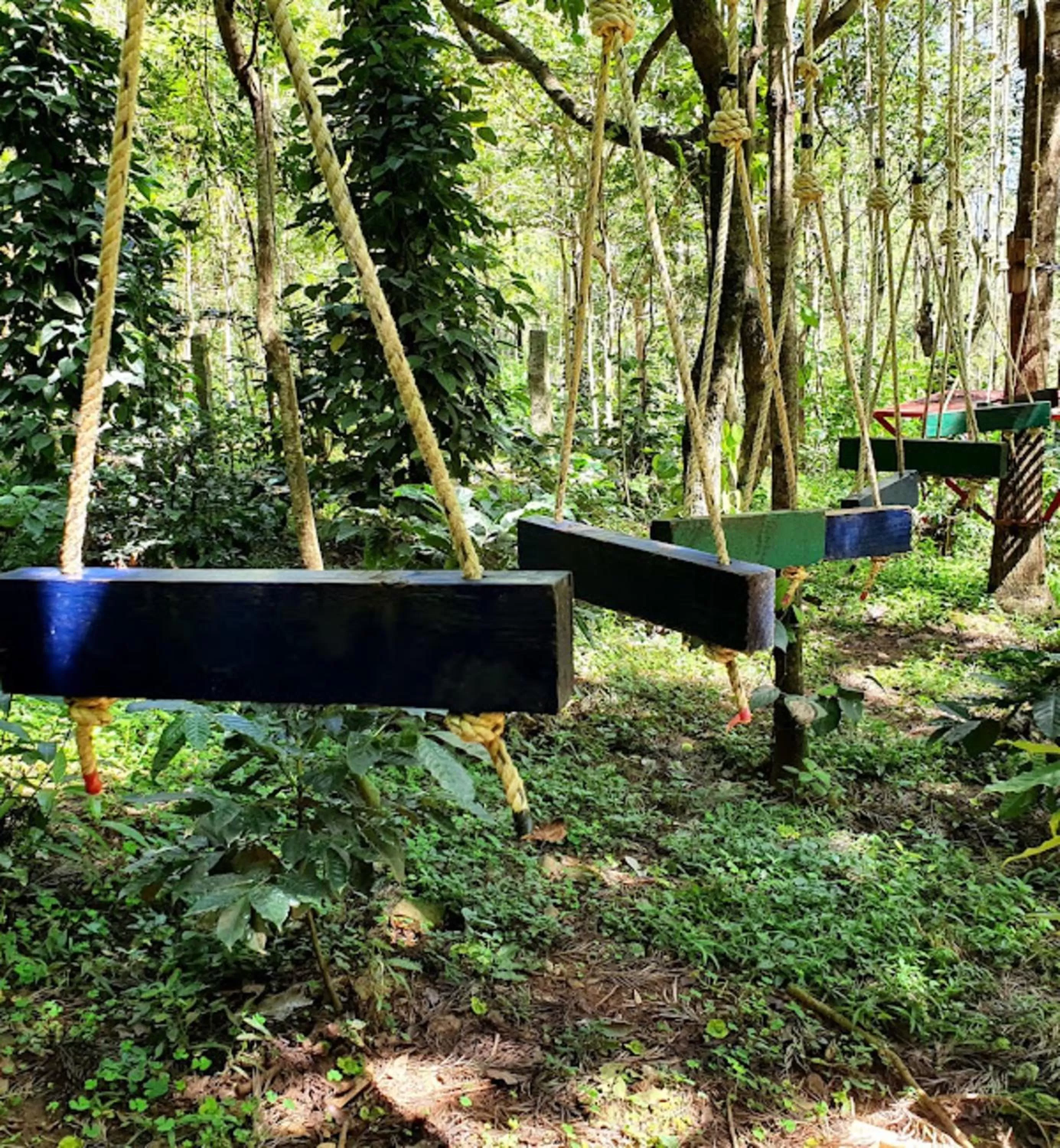 Activities in The Spectrum Resort - Chikmagalur