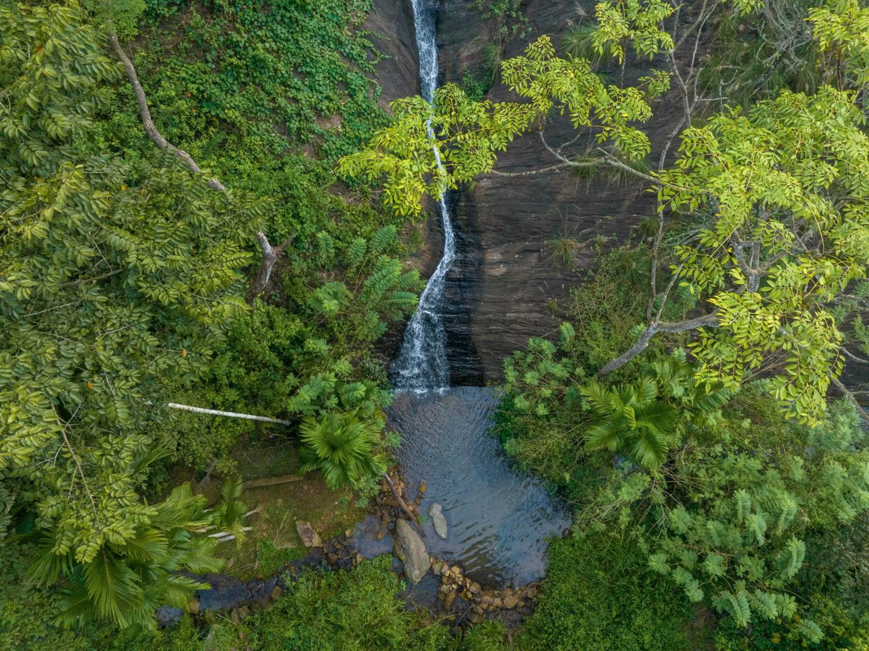 View (from property/room) in Birds Park Polgahawela