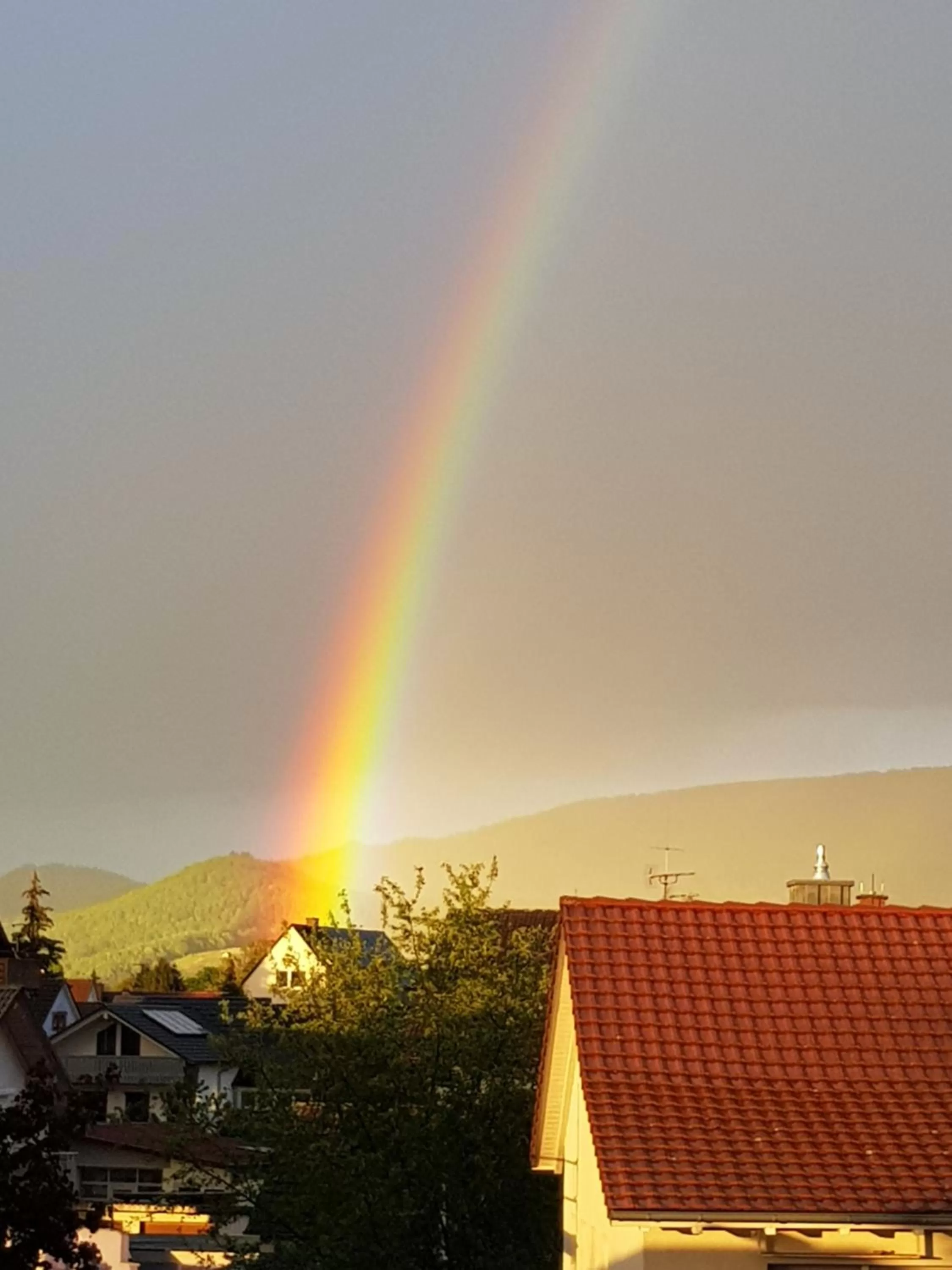 Natural landscape in H41 Inn Hotel Garni Freiburg