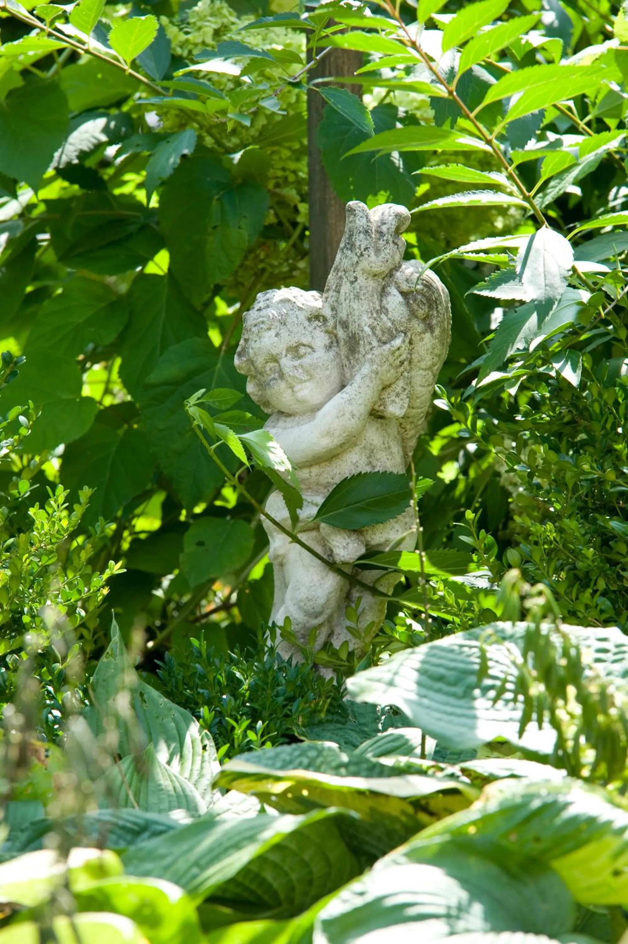 Garden in Hotel Garni Glockenstuhl