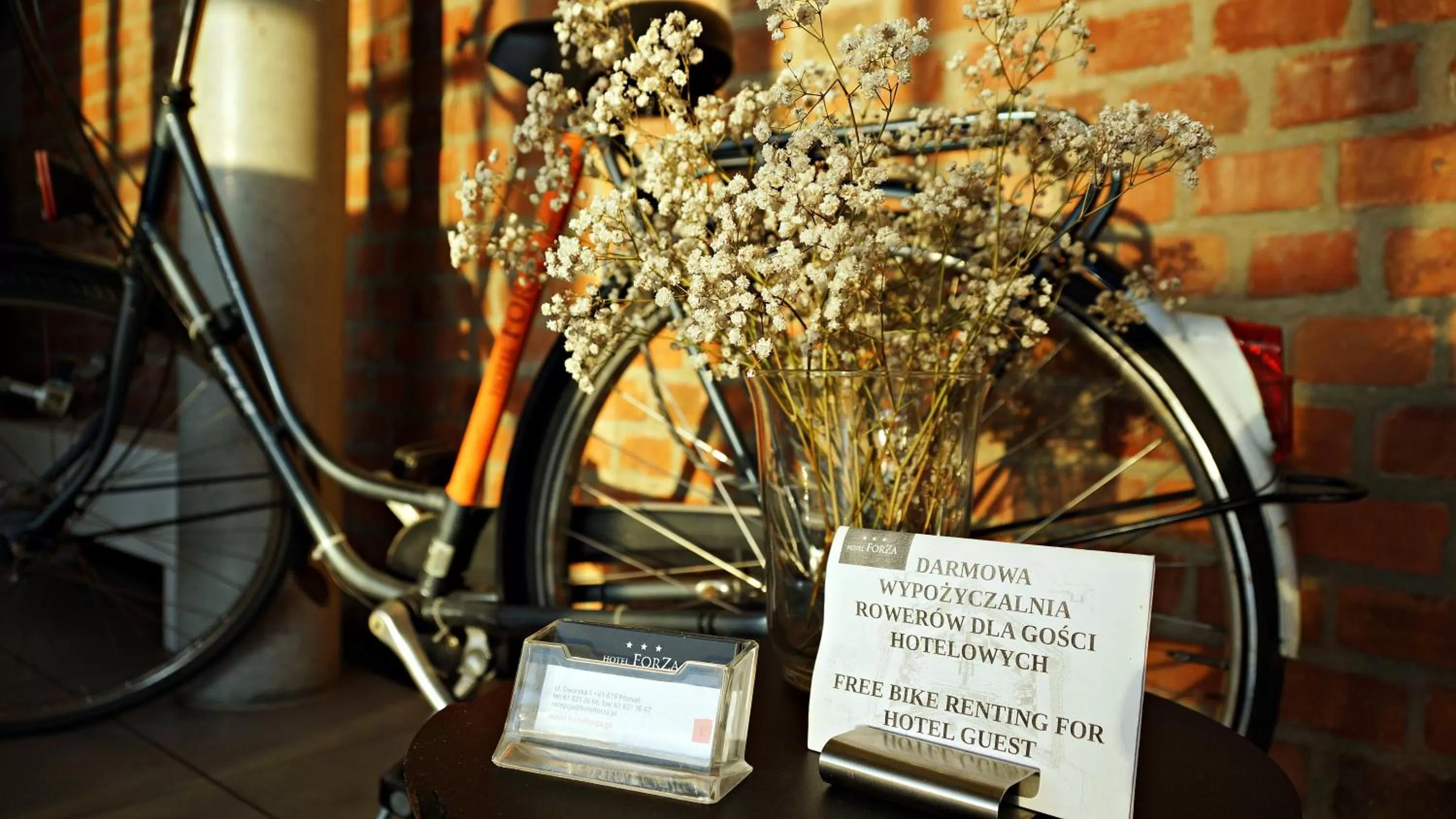 Cycling in Hotel Forza