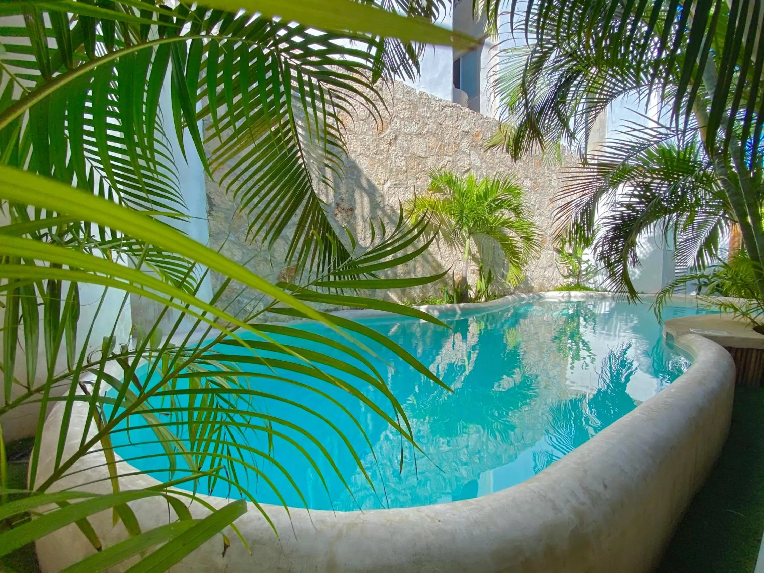 Pool view in Pacha Tulum Boutique Hotel