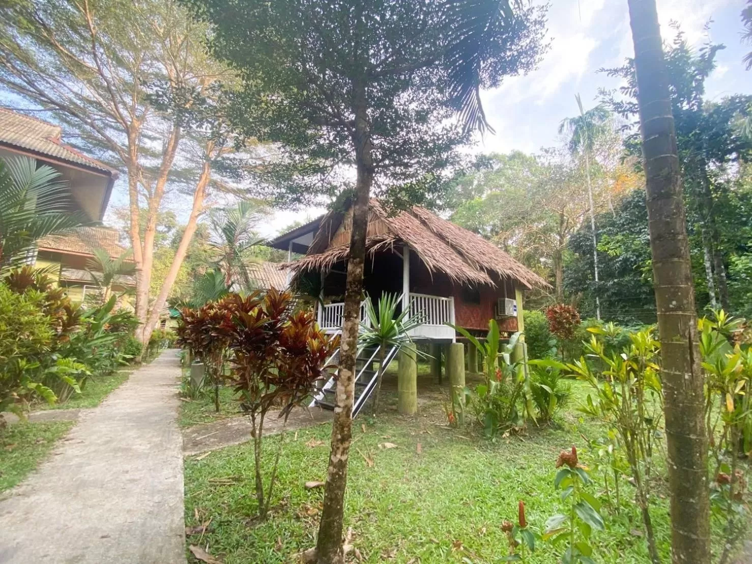 Bungalow with Air-Conditioner in Khao Sok Jungle Huts Resort