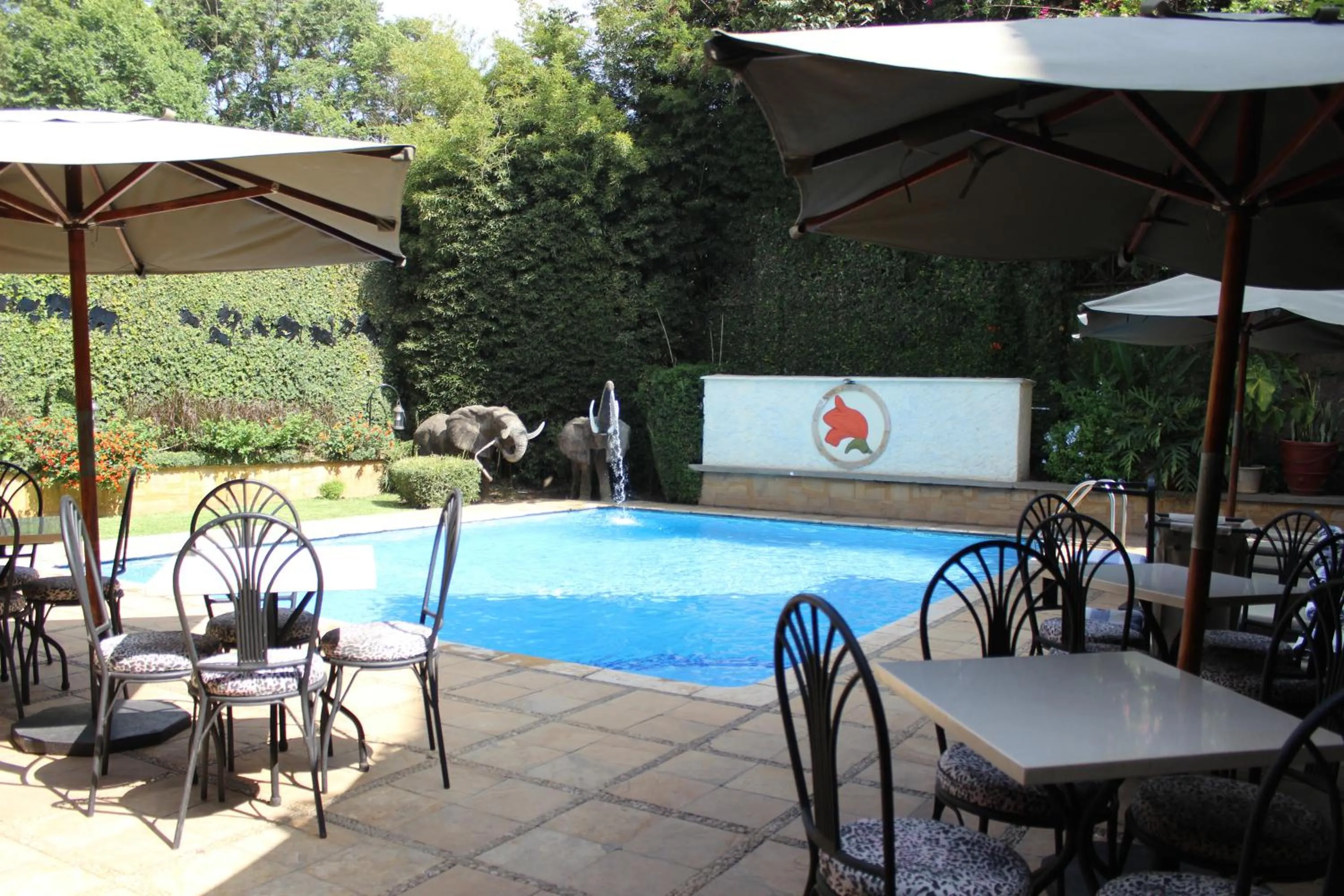 Swimming pool in African Tulip Hotel