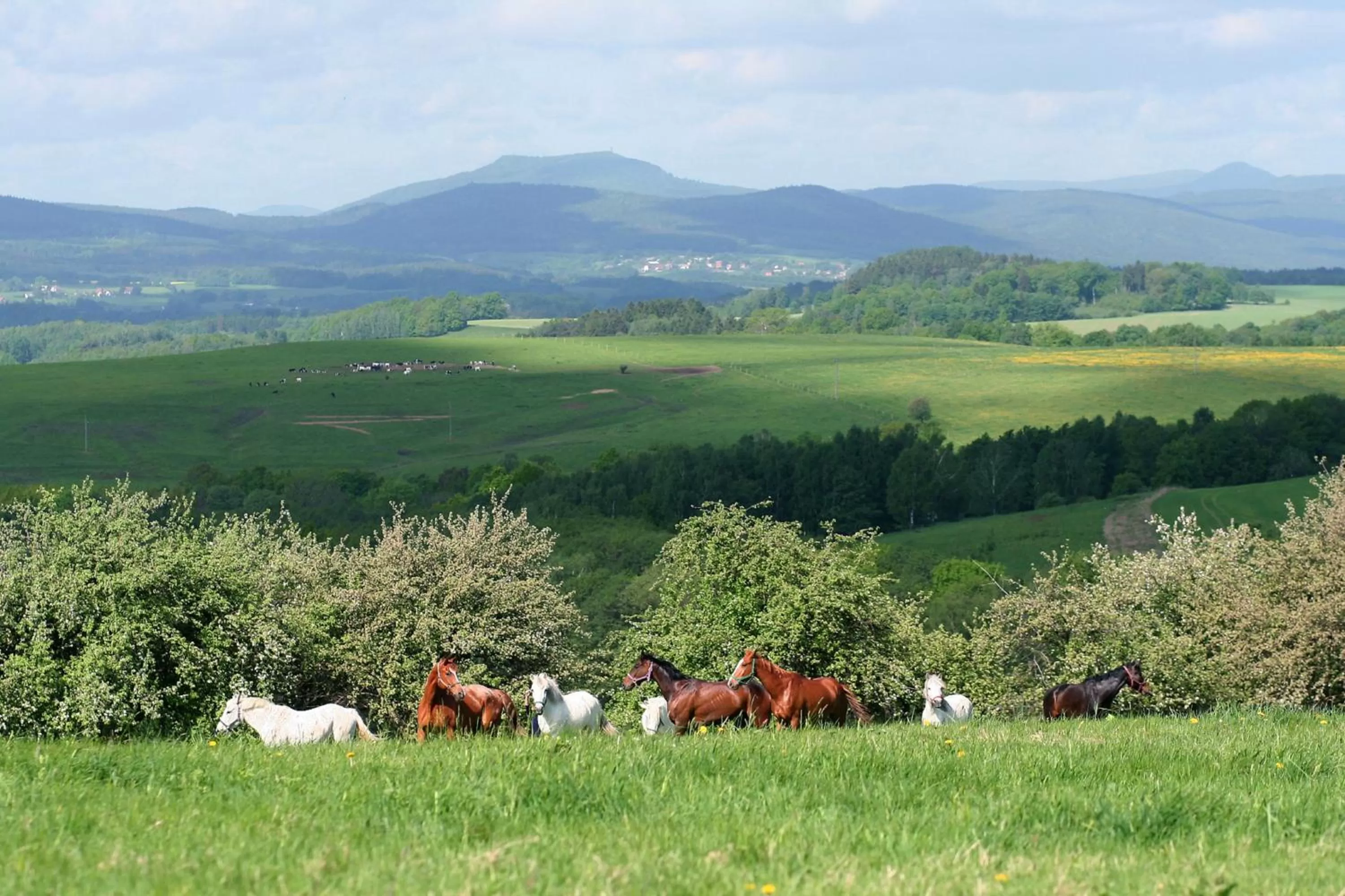 On site in Hotel Farma Vysoká