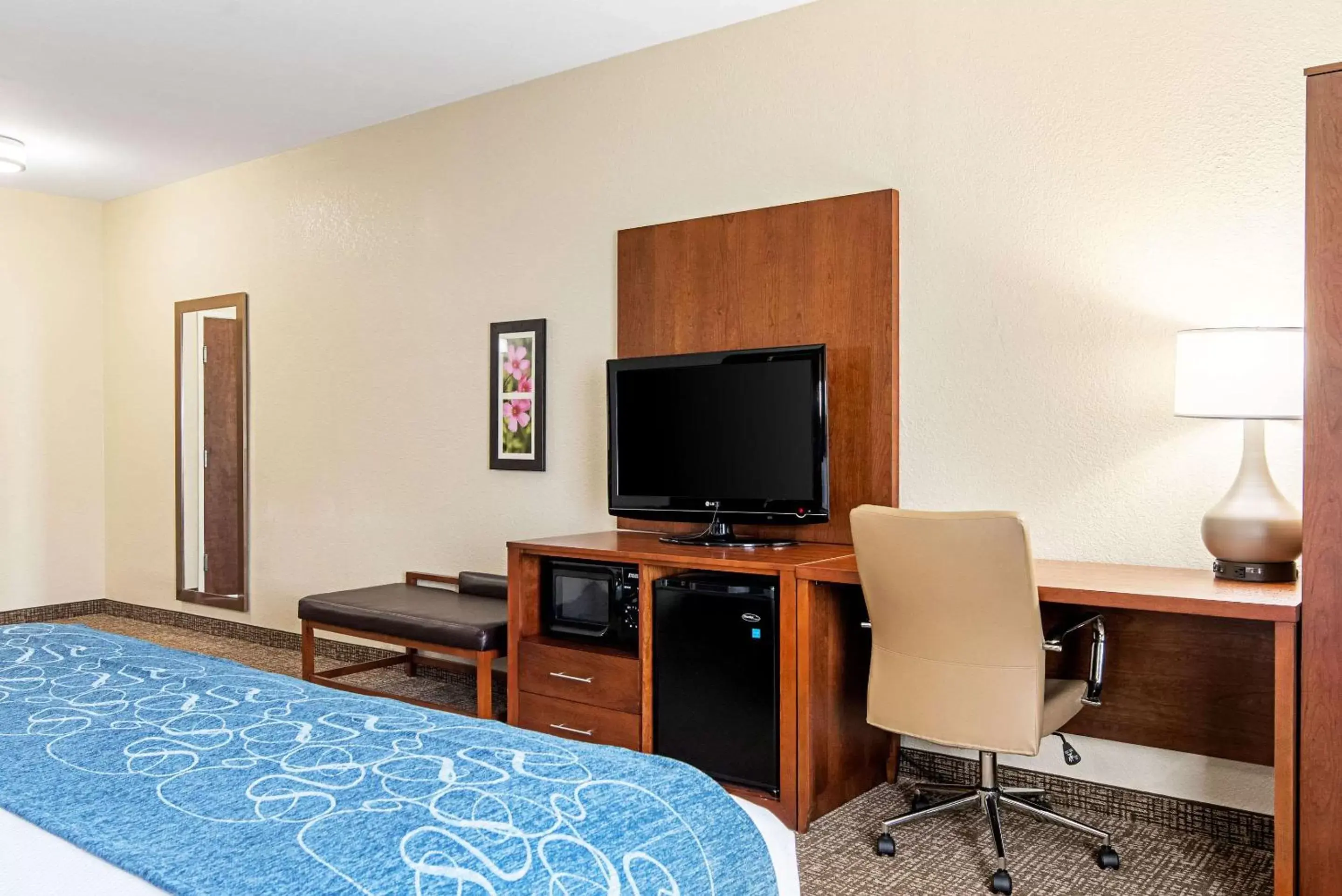 King Room - Non-Smoking in Comfort Inn & Suites Pine Bluff King Room - Non-Smoking in Comfort Inn & Suites Pine Bluff