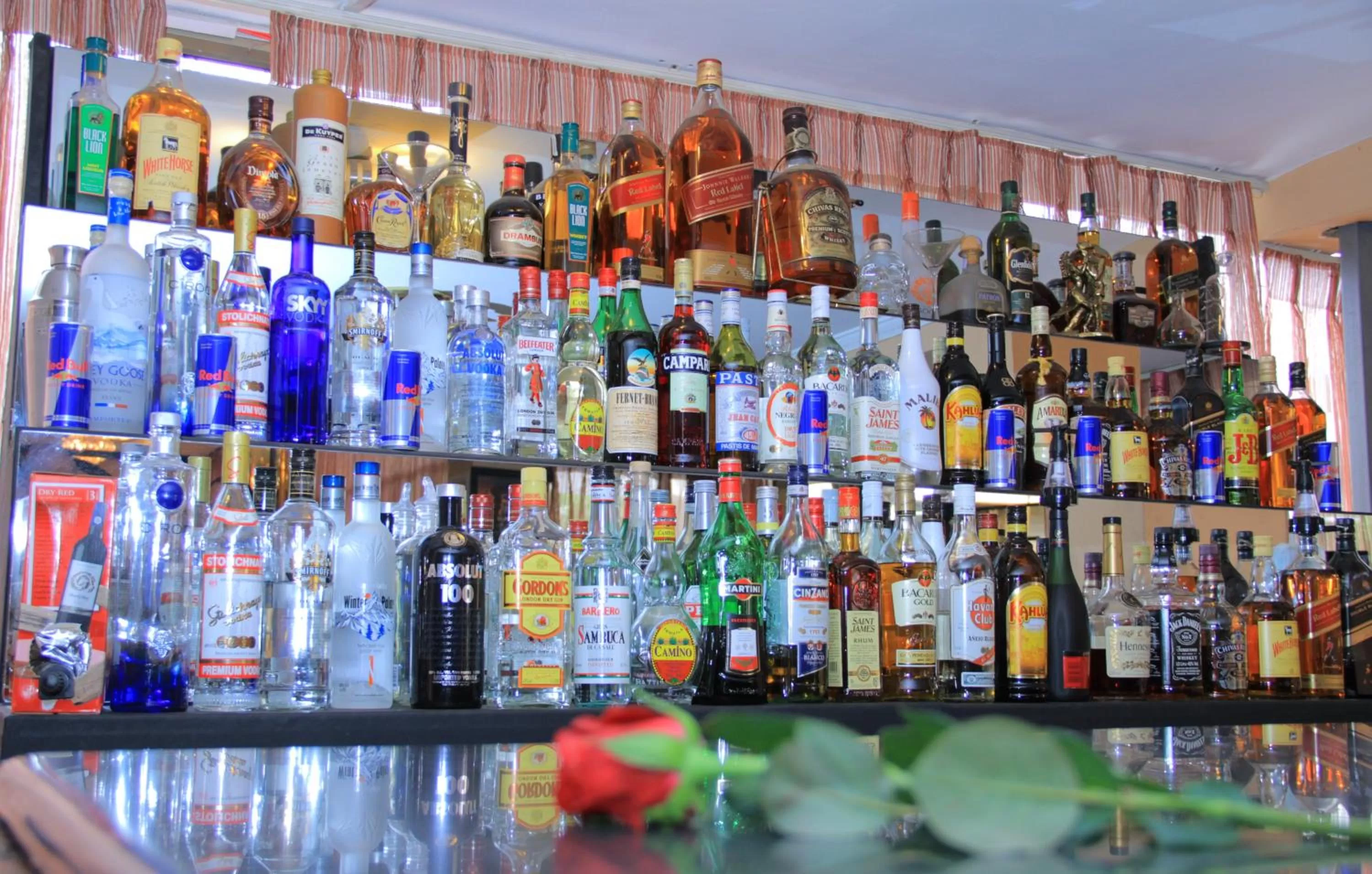 Lounge or bar in Hotel Lobelia