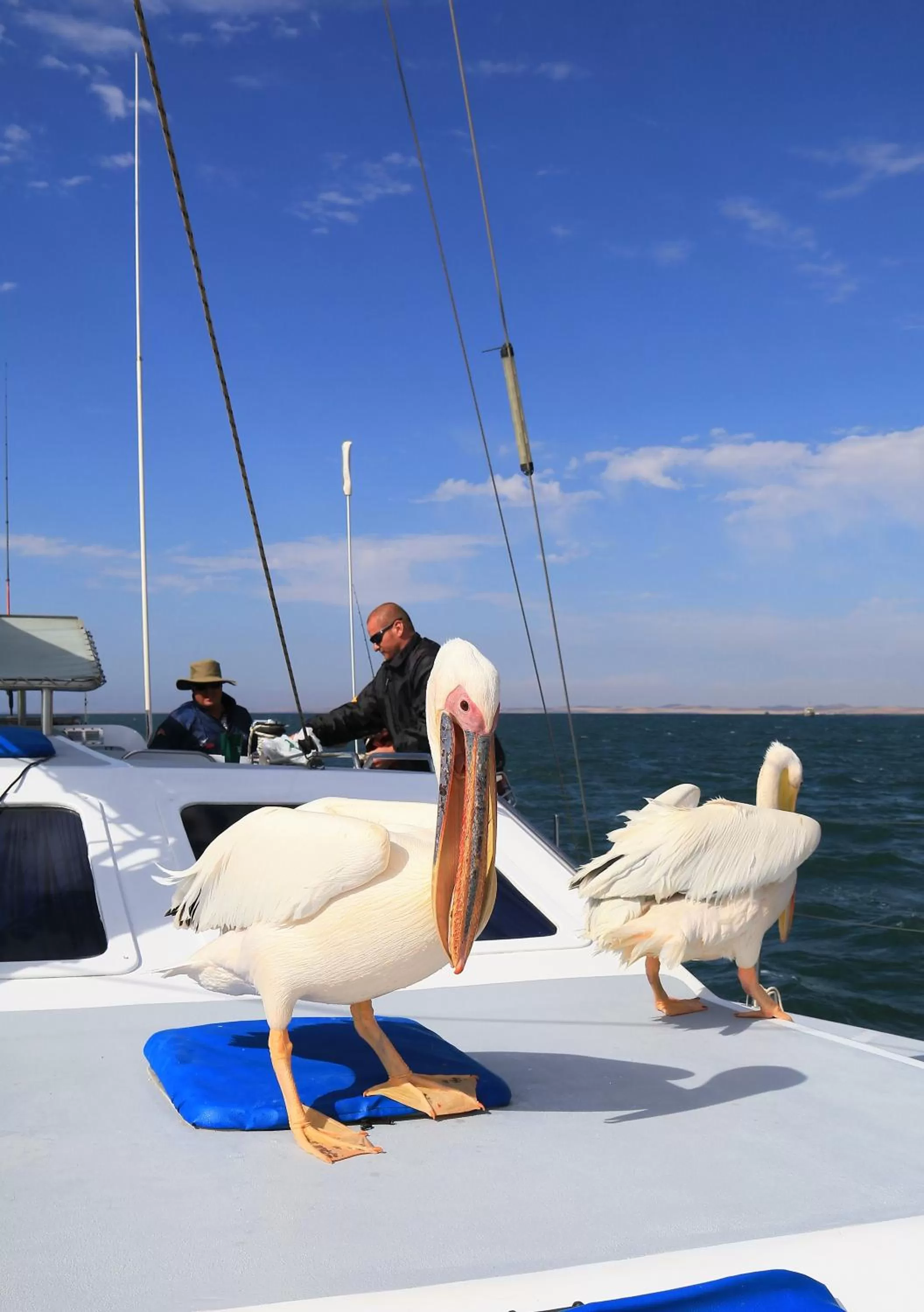 Activities in Tiende Laan Bed & Breakfast and Self-Catering