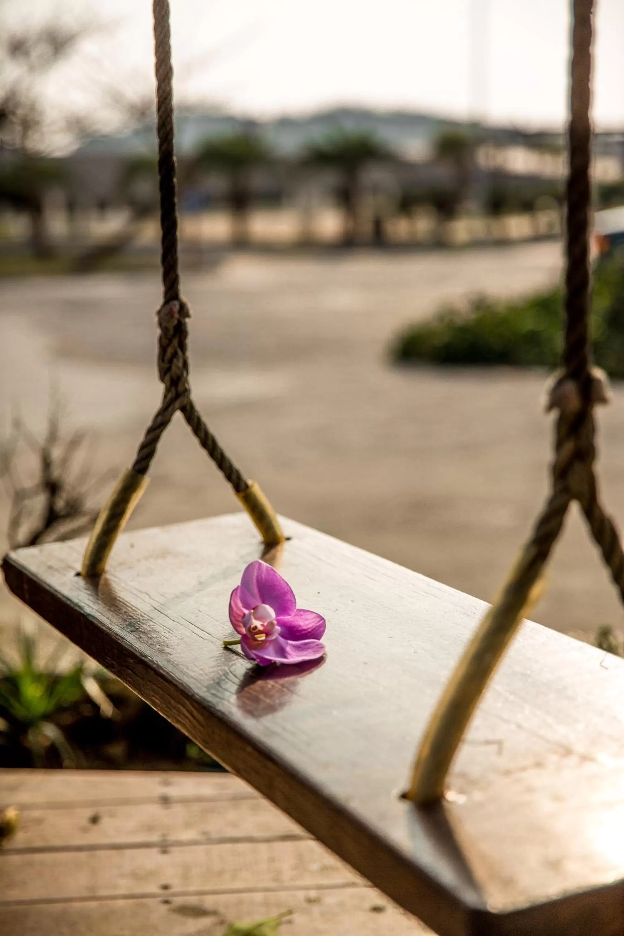 Garden in Beachcastle & Sea View Villa