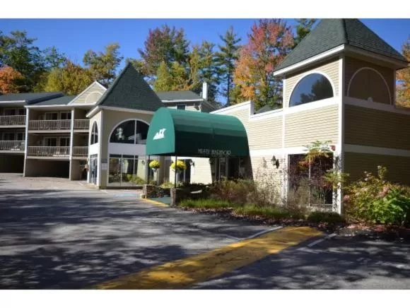 Property Building in Misty Harbor Resort