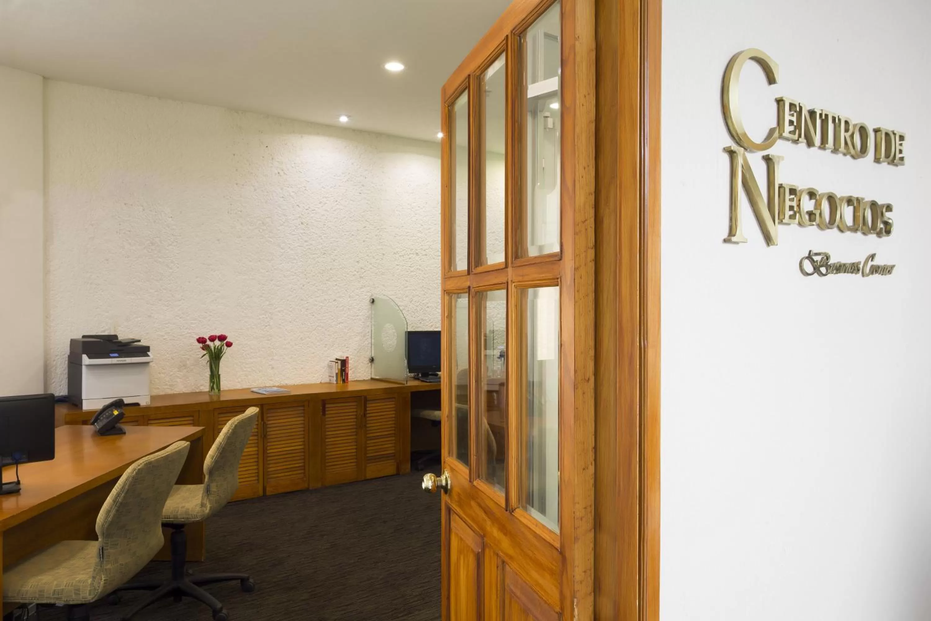 Business facilities in Gamma Pachuca