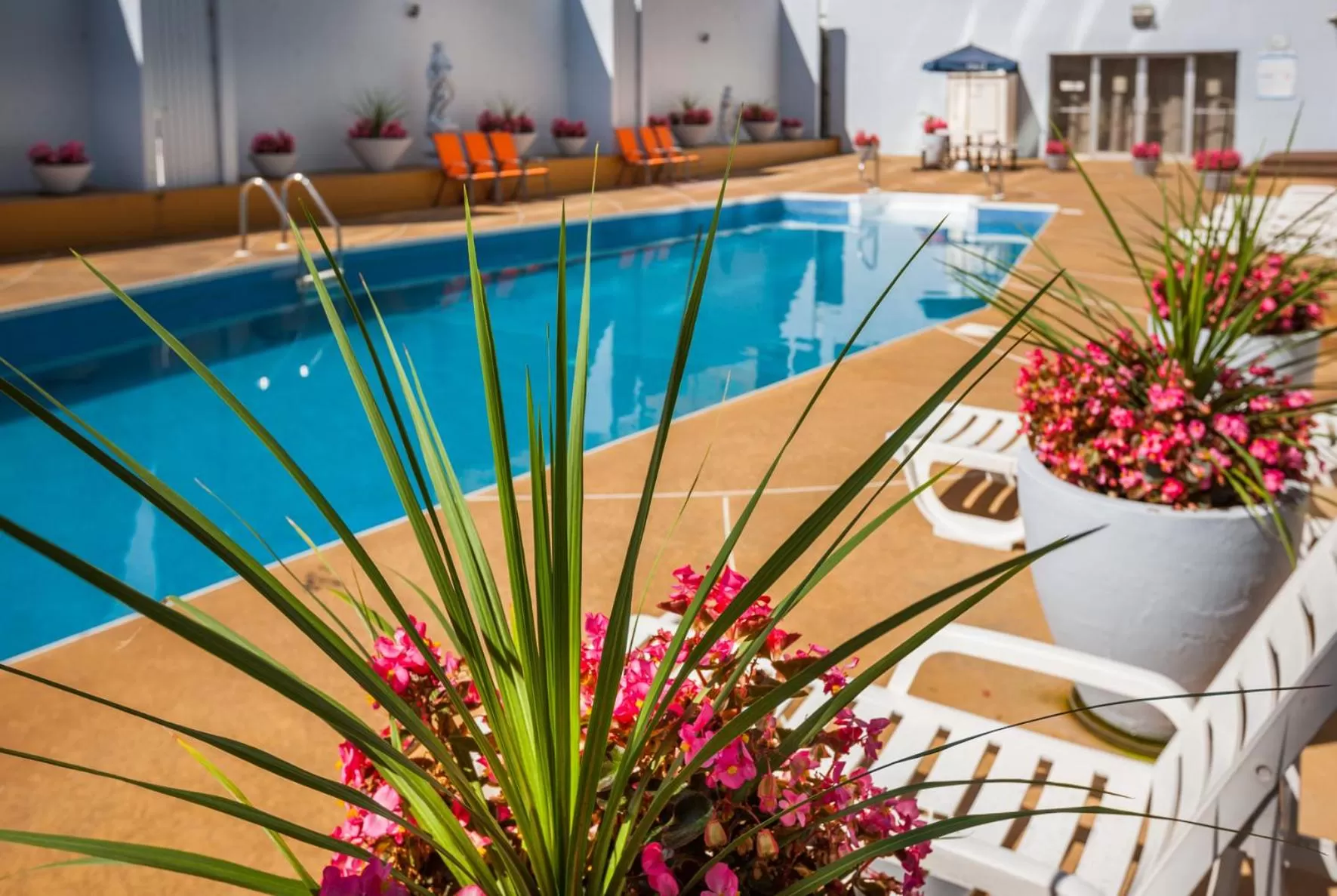 Swimming Pool in Hotel Espresso Montreal Centre-Ville / Downtown