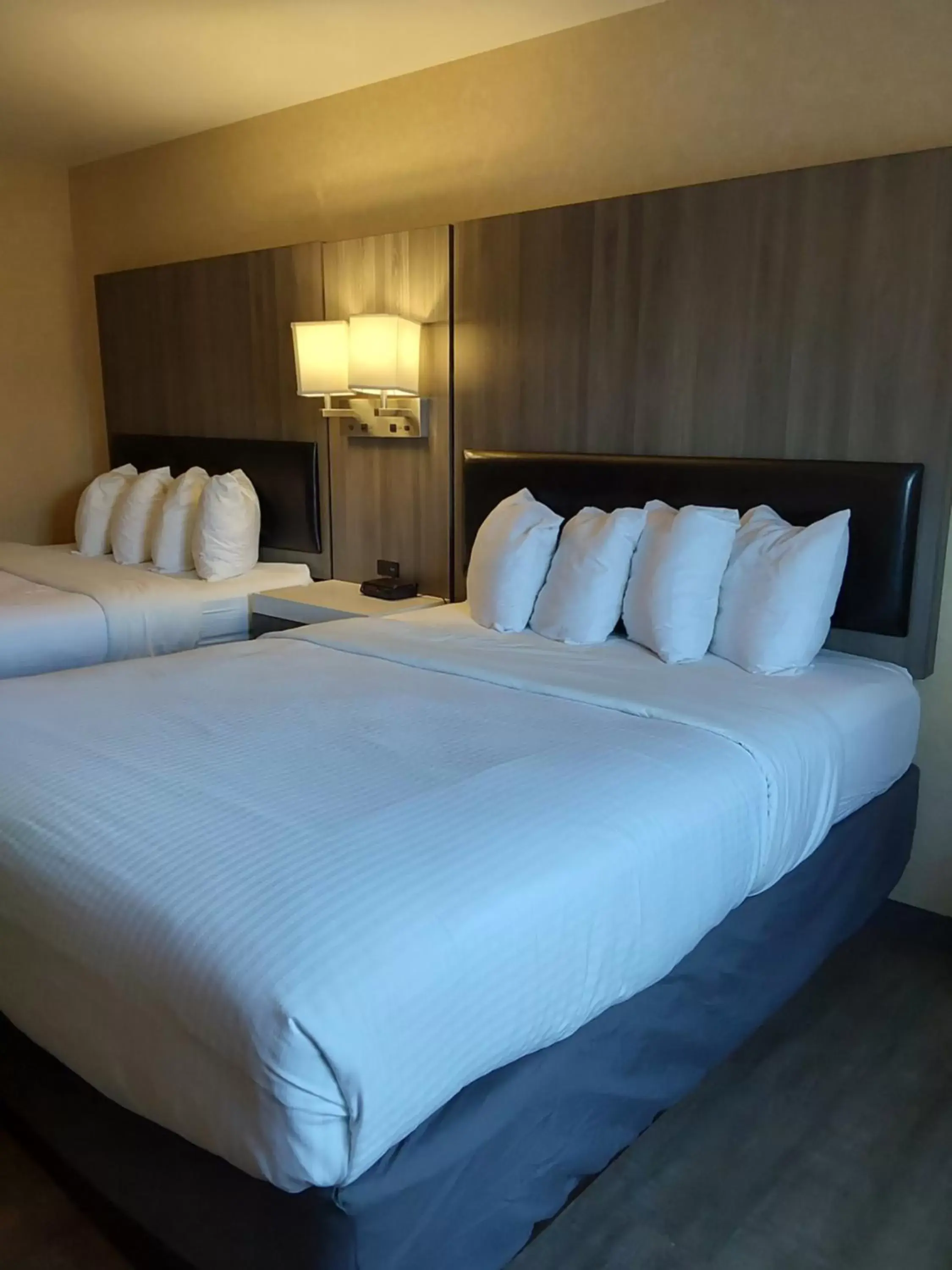 Queen Room with Two Queen Beds in GuestHouse Inn Bellingham Queen Room with Two Queen Beds in GuestHouse Inn Bellingham