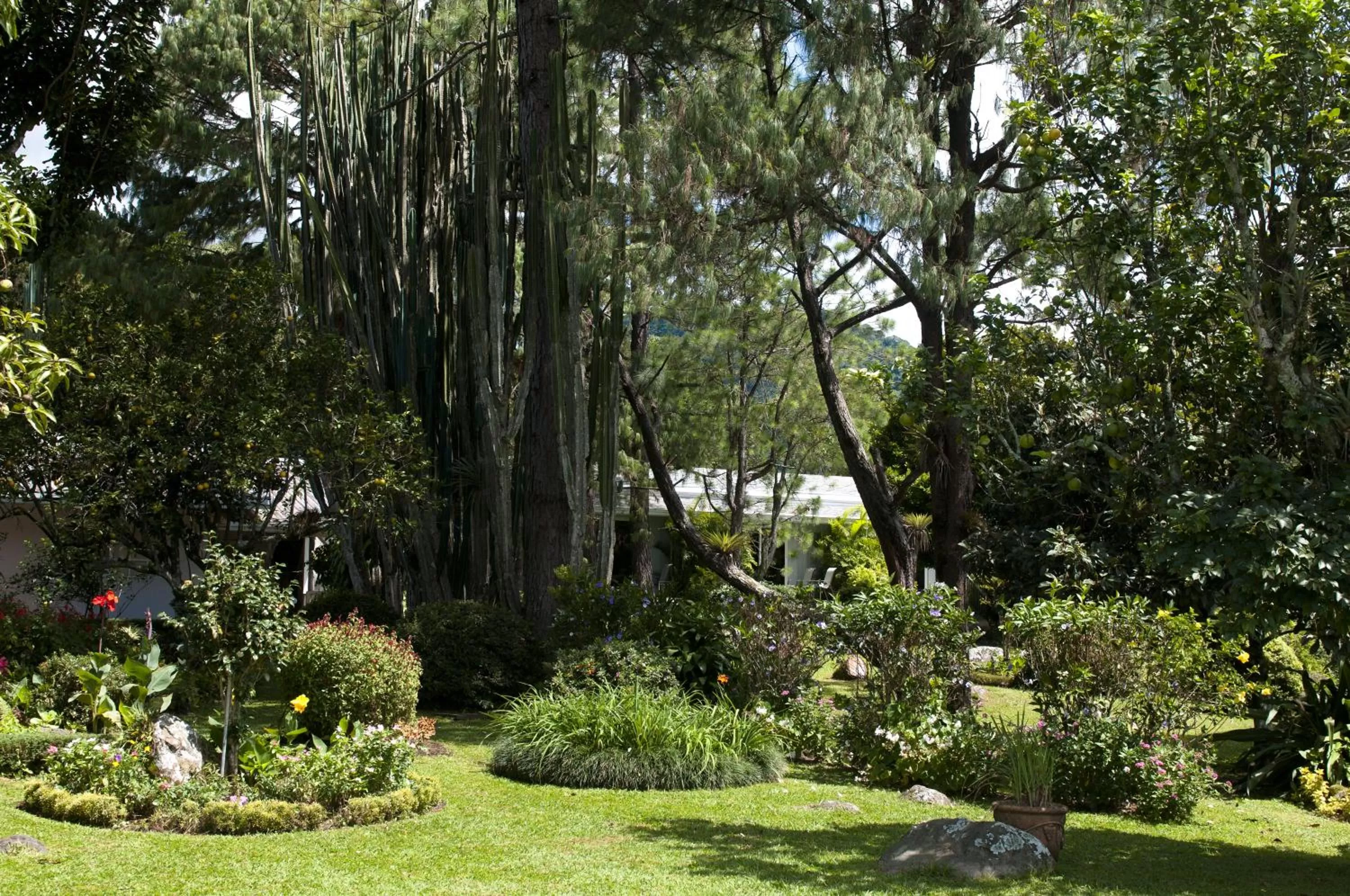 Garden in Hotel Panamonte
