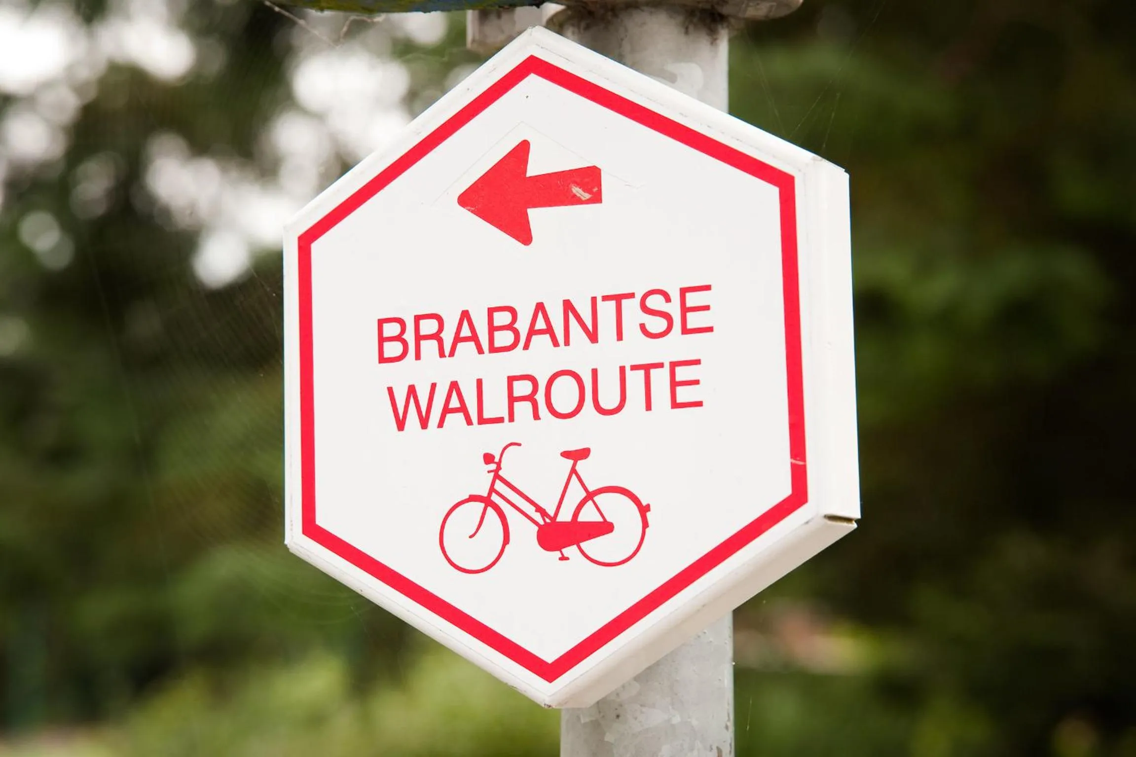 Area and facilities in Grenshotel de Jonckheer