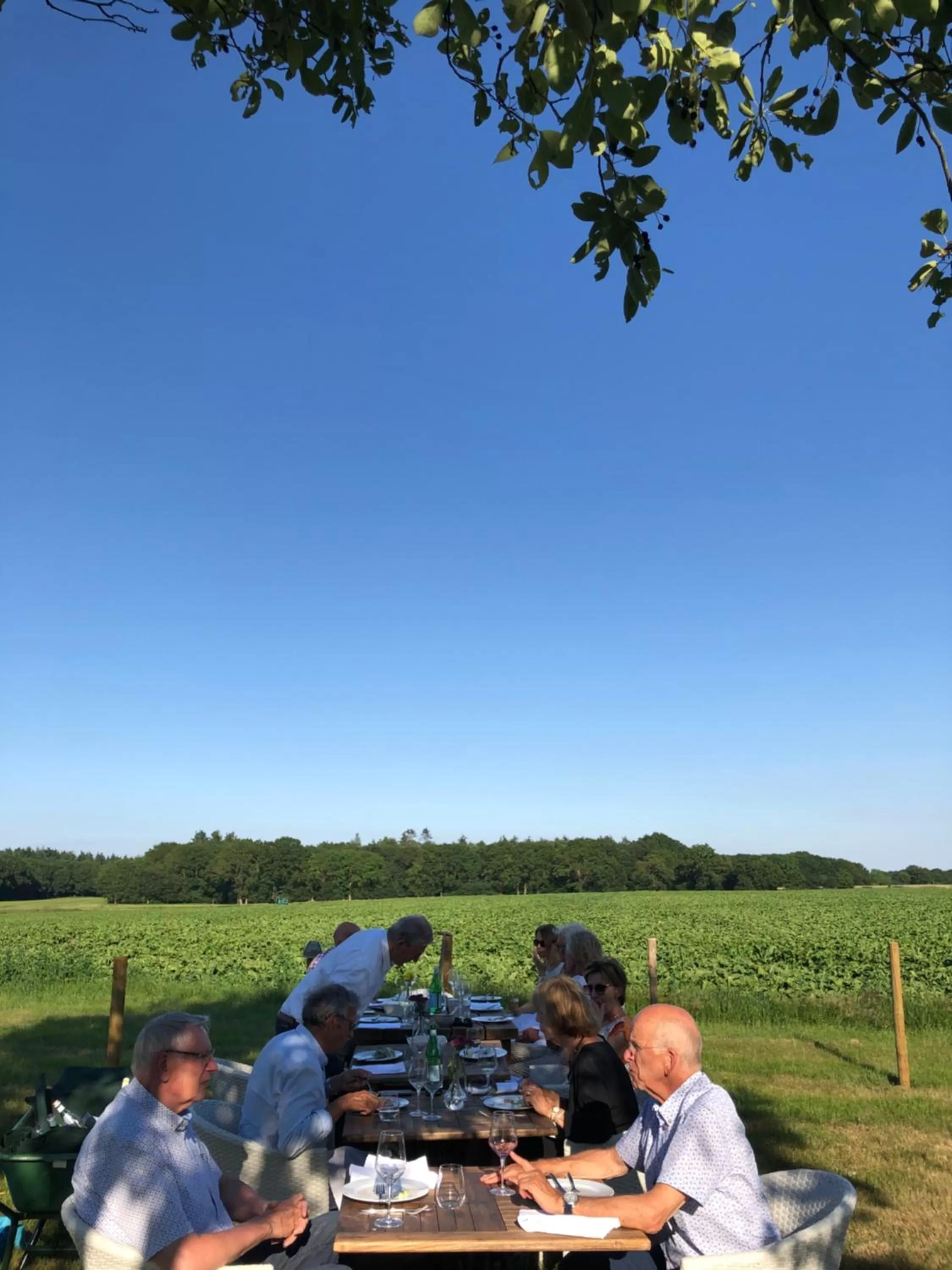 Villa BlauwHemel Diever