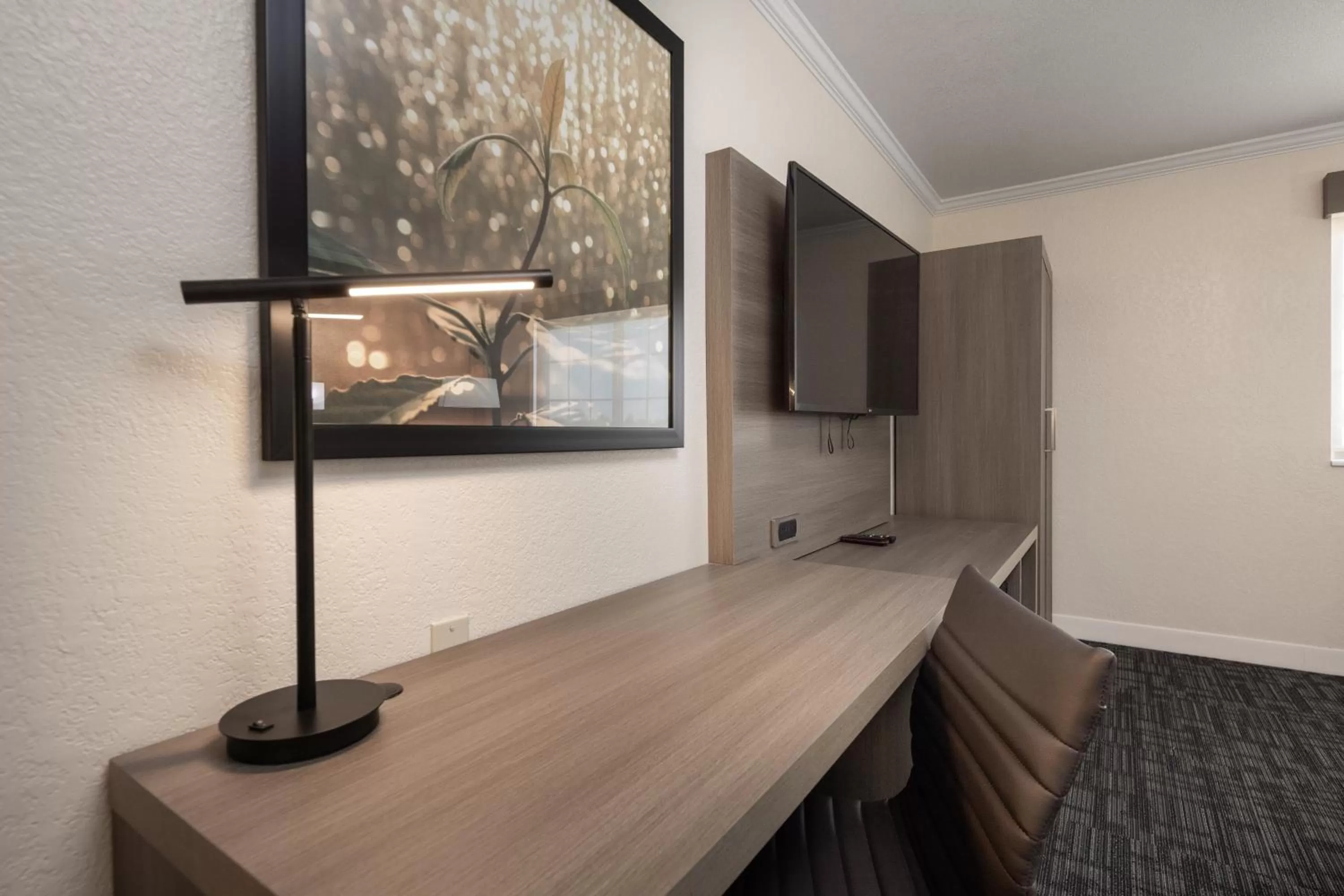 TV and multimedia in Comfort Inn Hayward - Union City