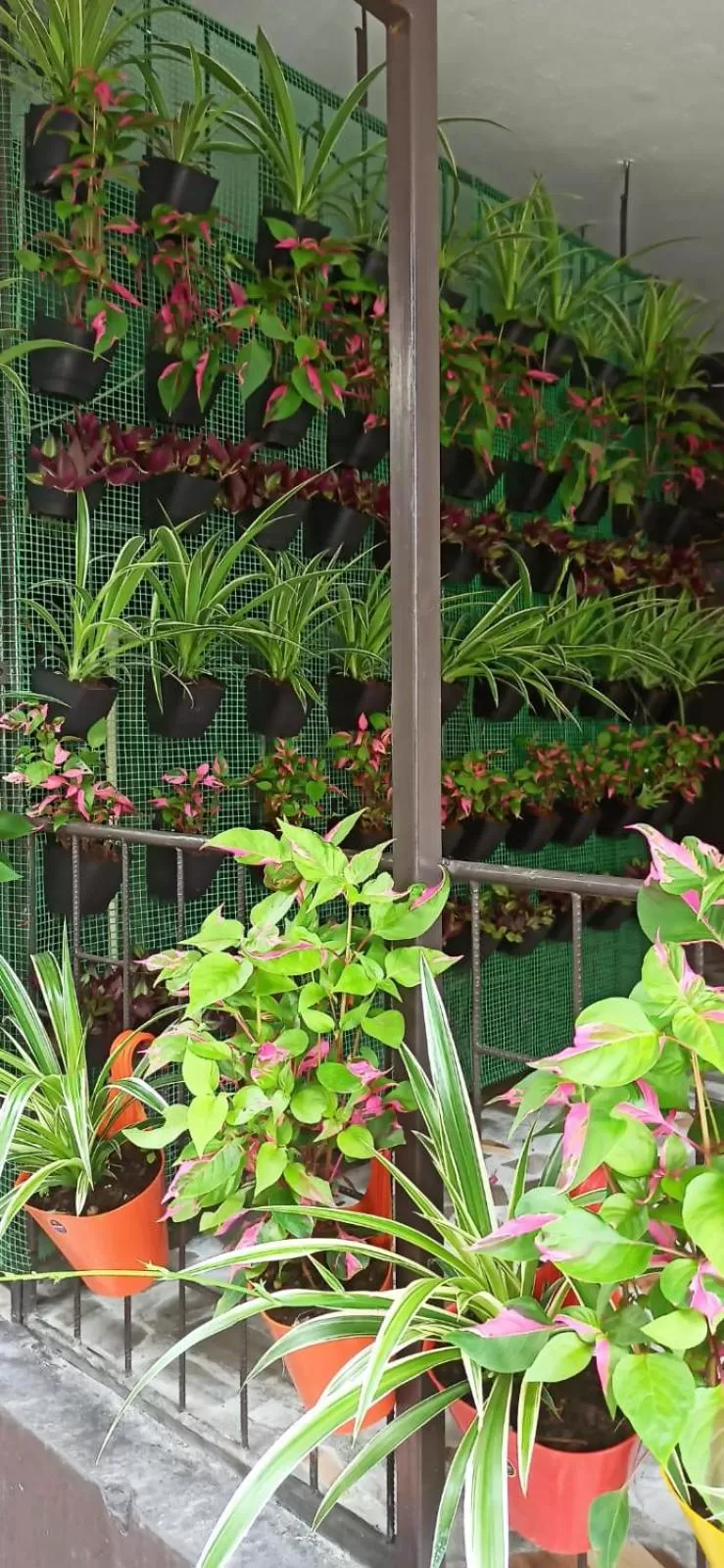 Garden in PHIBHA VILLA