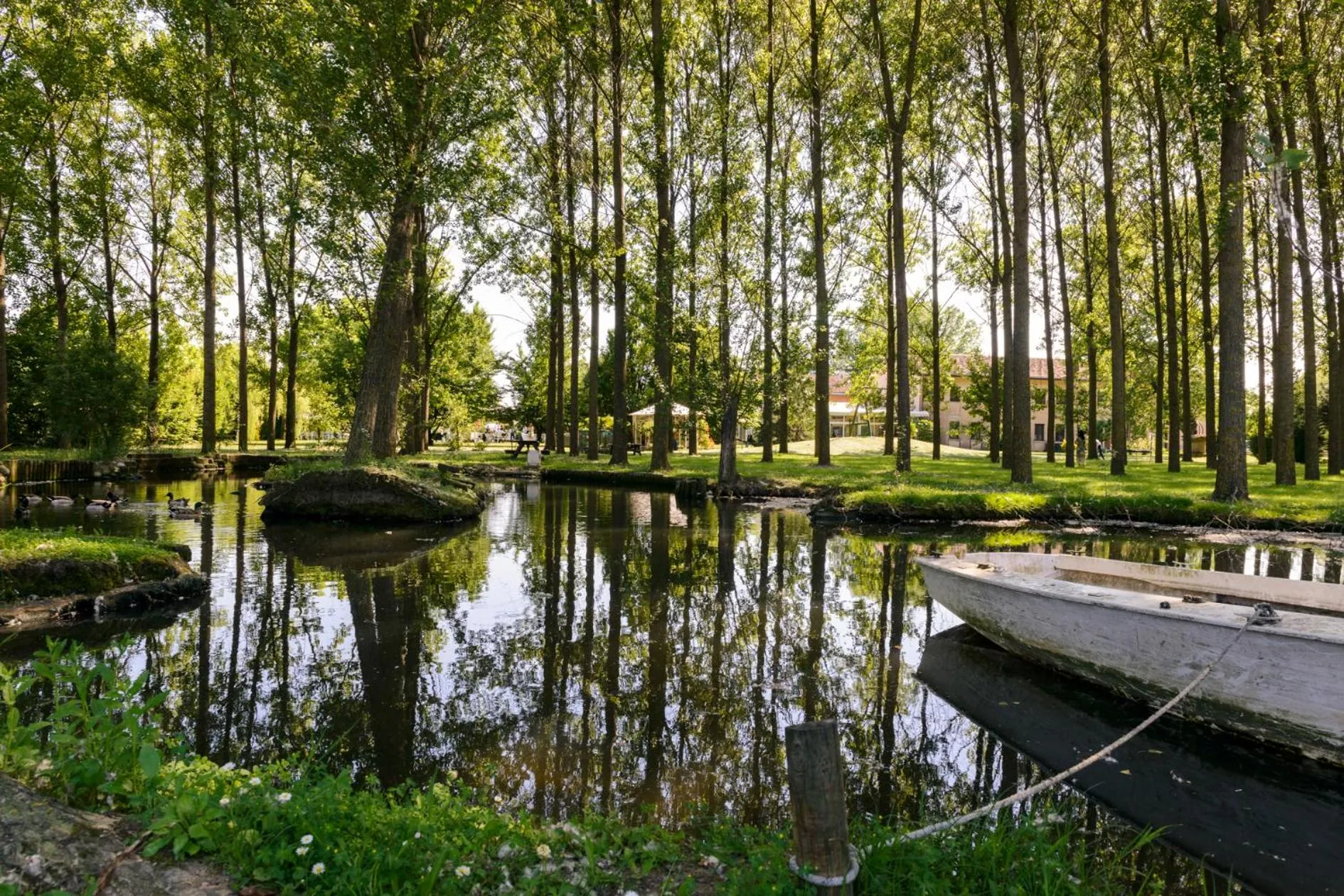 Natural landscape in Relais Leon d'Oro